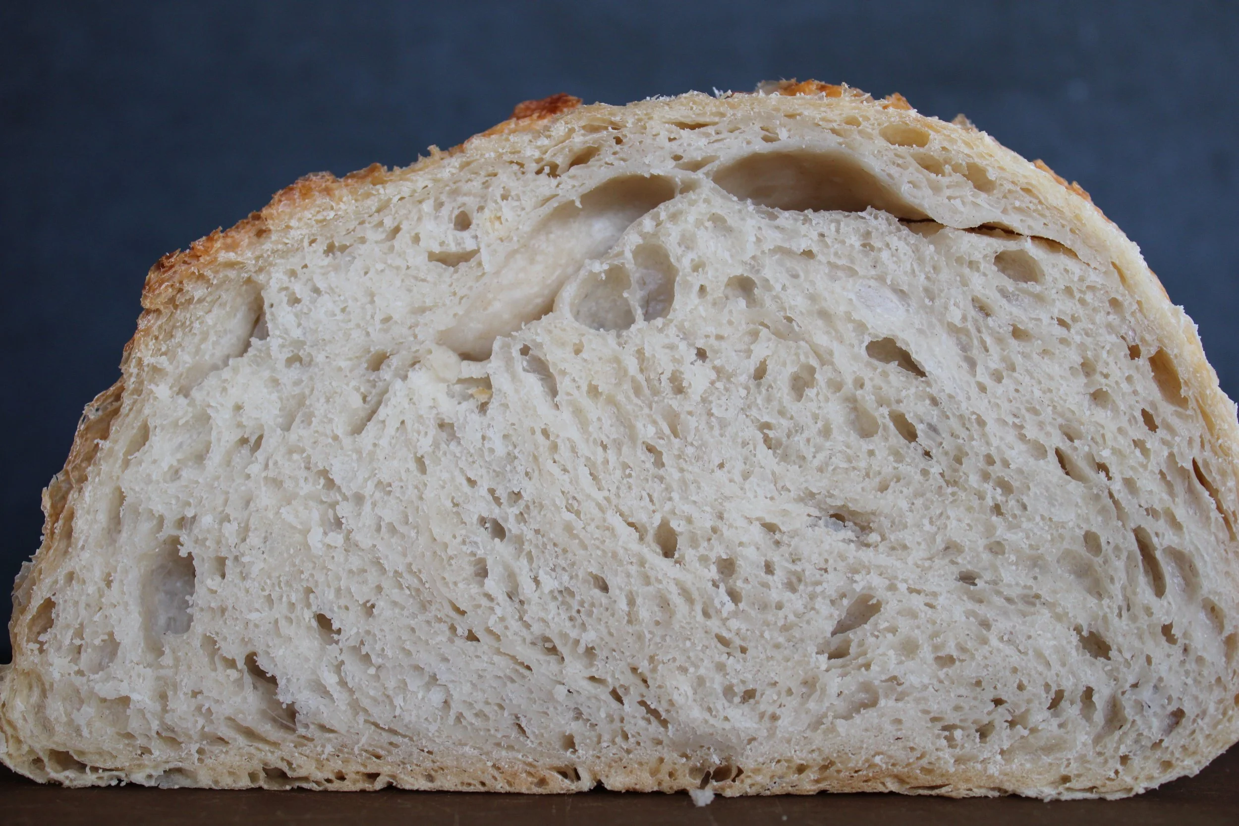 rustic crumb shot.JPG