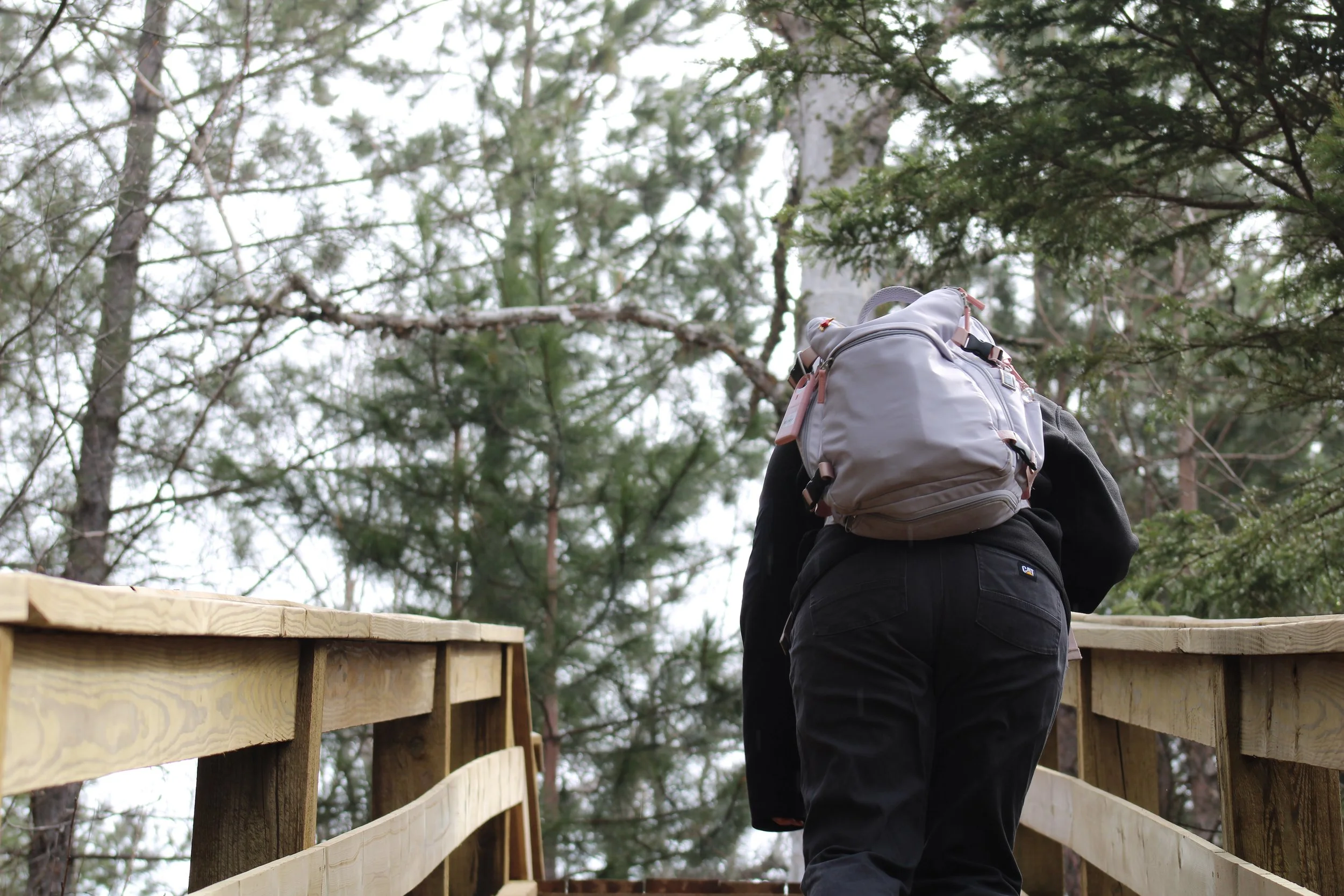 A person wearing black clothing with a gray backpack walks on a wooden staircase surrounded by tall evergreen trees.