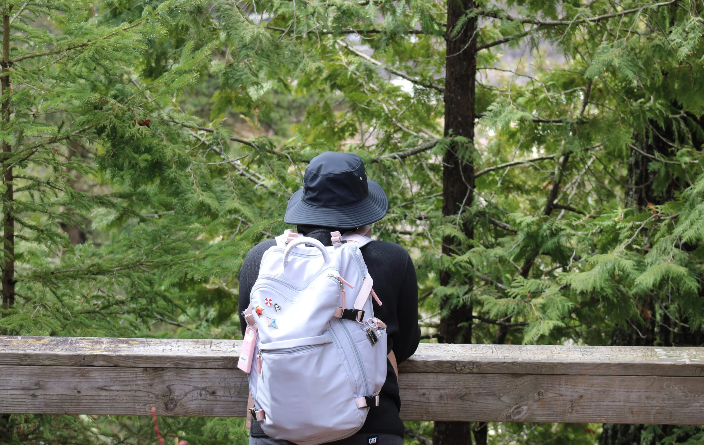 Person with a white backpack and navy-blue hat looking out over a forested landscape from a wooden railing.