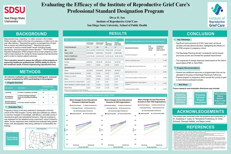 Poster example showing a professional research poster layout