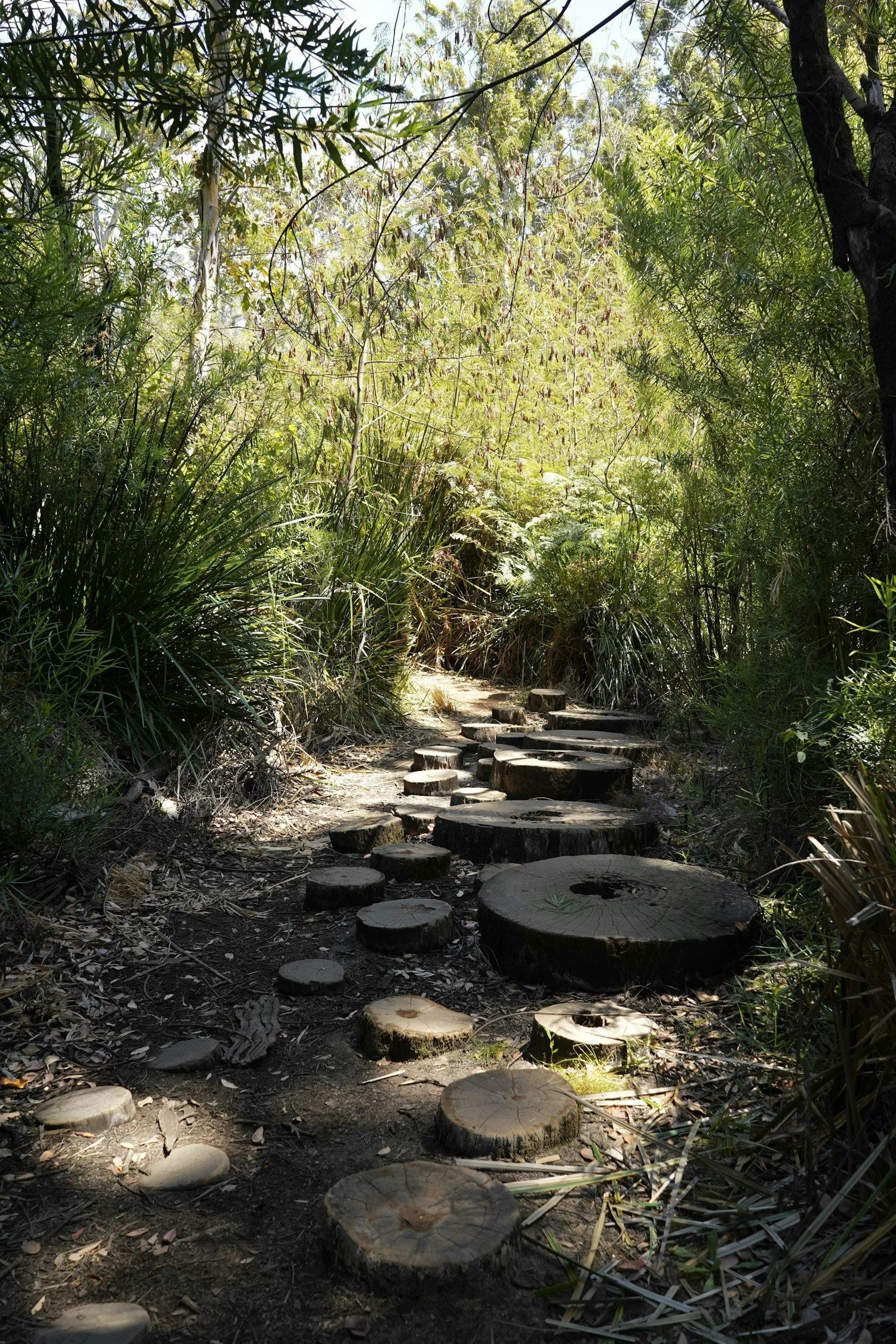 Protection of our path…