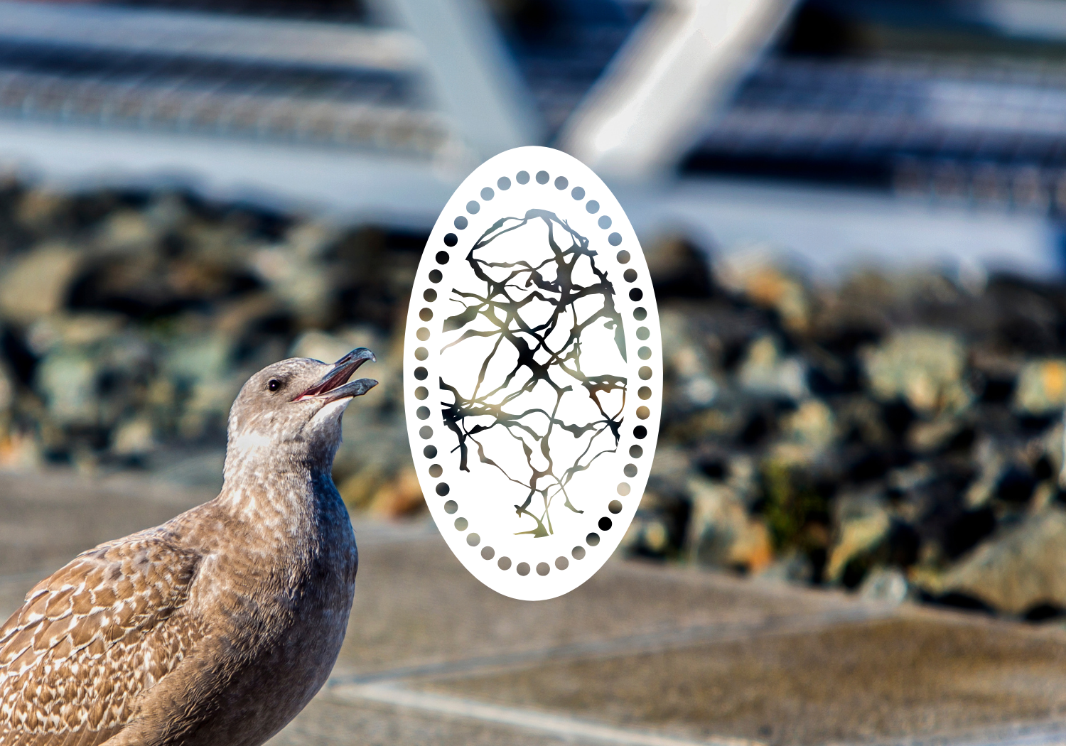 Anacortes Earth Day: Procession of the Species & Environmental Street Fair