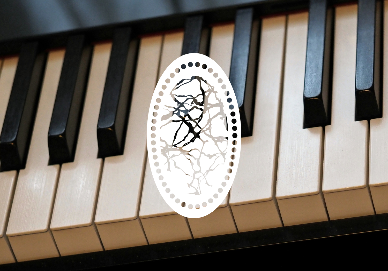 Anacortes Music Project Gala