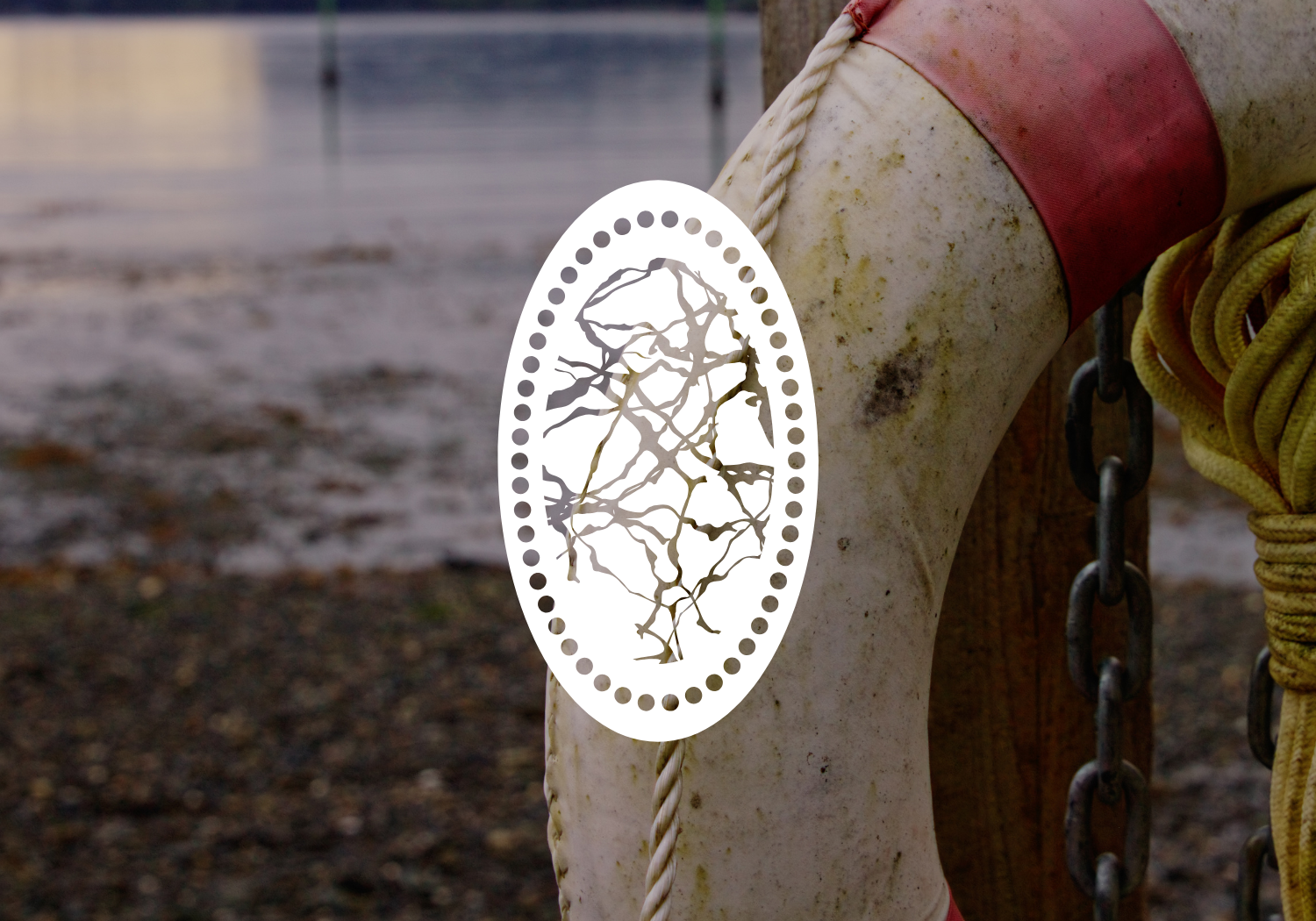 Salish Sea School Summer Camp