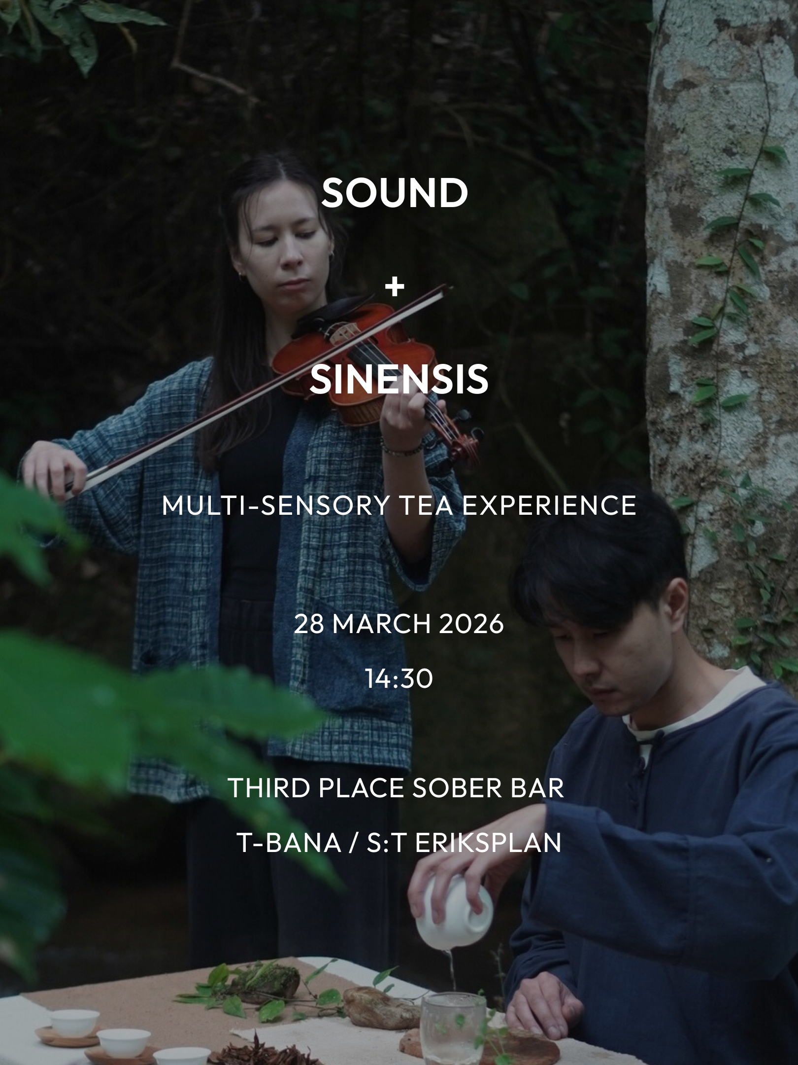 SOUND + SINENSIS :  Ambient Strings and Tea Experience