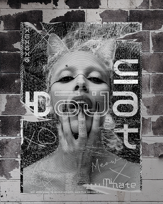 Doja Cat Mock Up .png