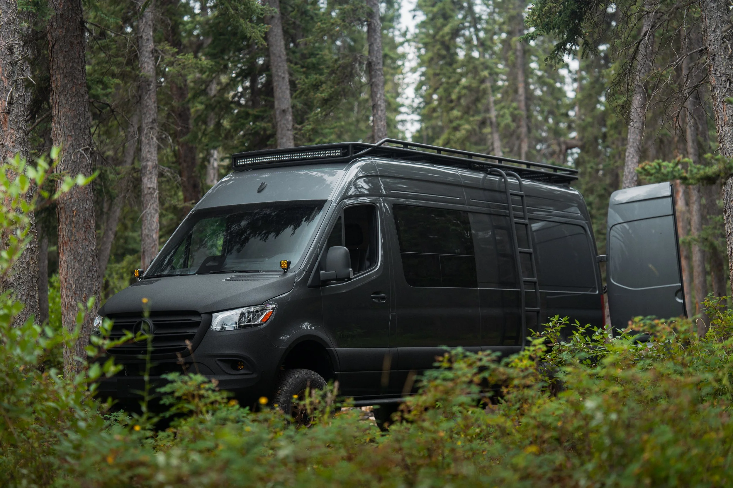 A dark gray van with a roof rack and LED light bar parked in a forest with tall trees and green foliage.