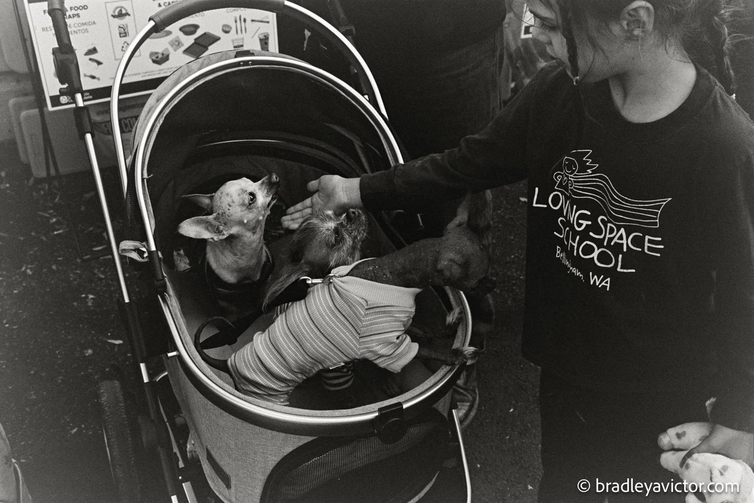 2025-09-01-09-13_29_trix 400 M4-32 copy.jpg