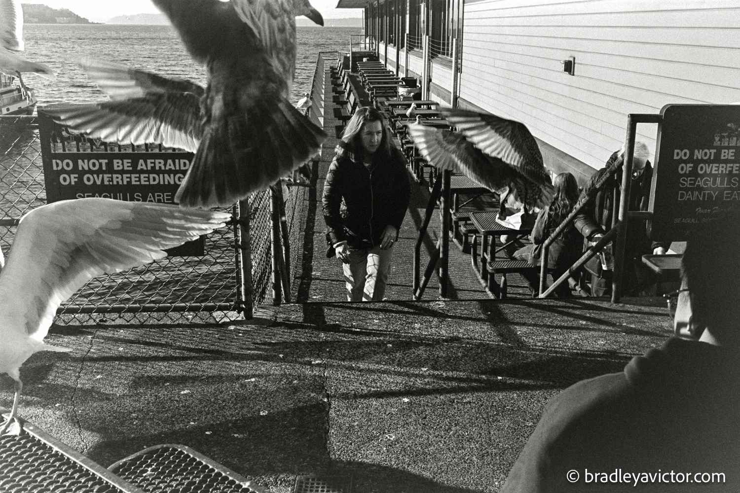 2026-01-23-01-24_36_trix 400 M4-16 copy.jpg