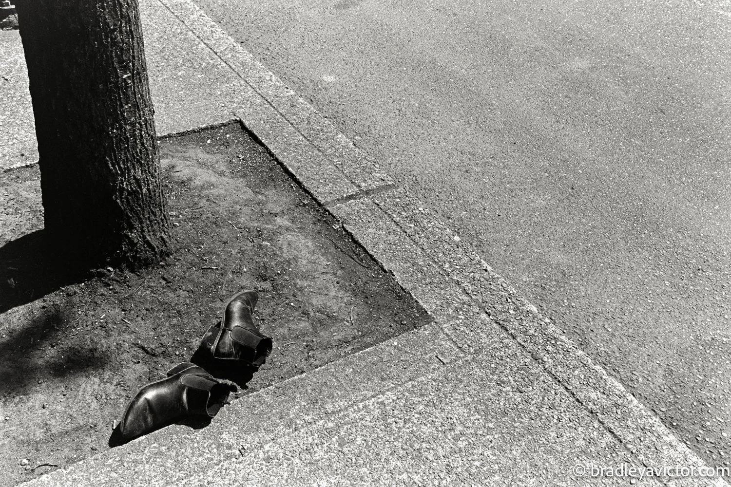 2025-06-08-06-15-trix 400-35 copy.jpg