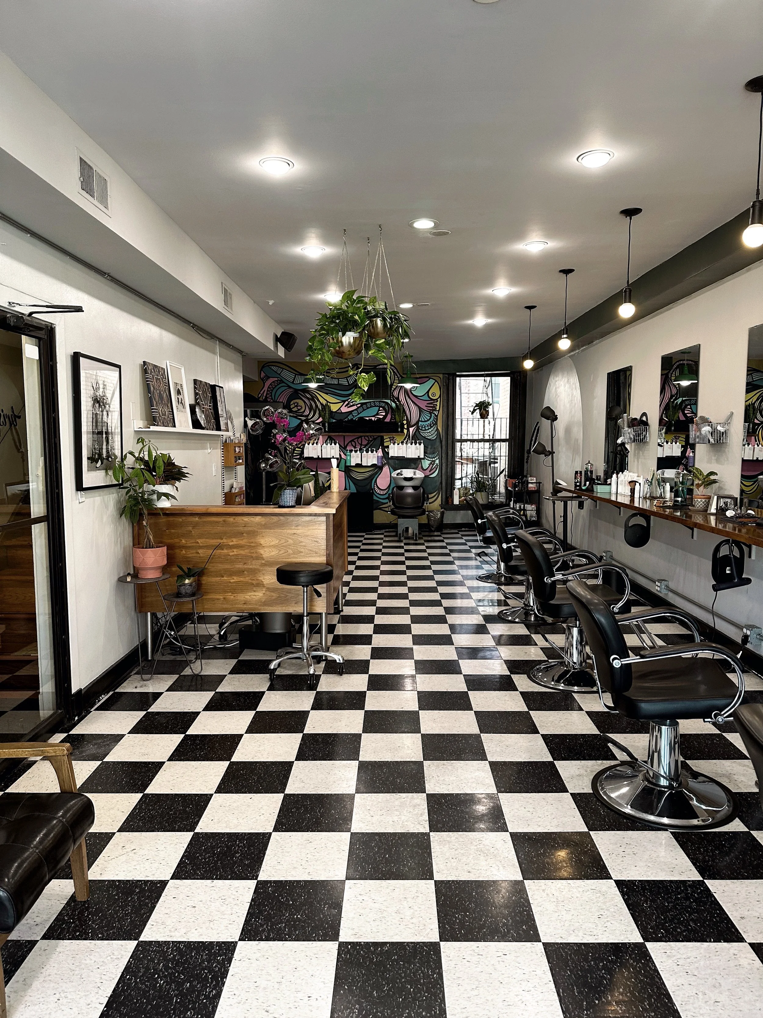 Bristle Hairdressing
