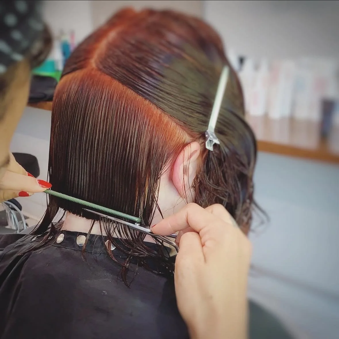 Bristle Hairdressing