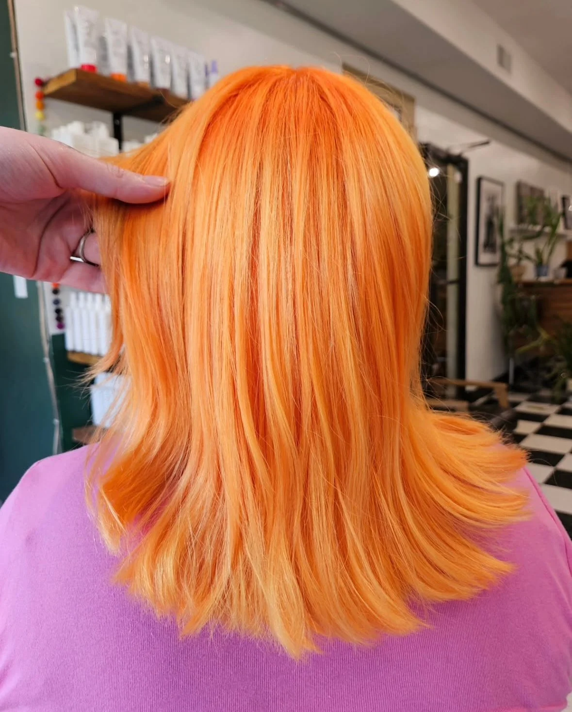 Bristle Hairdressing