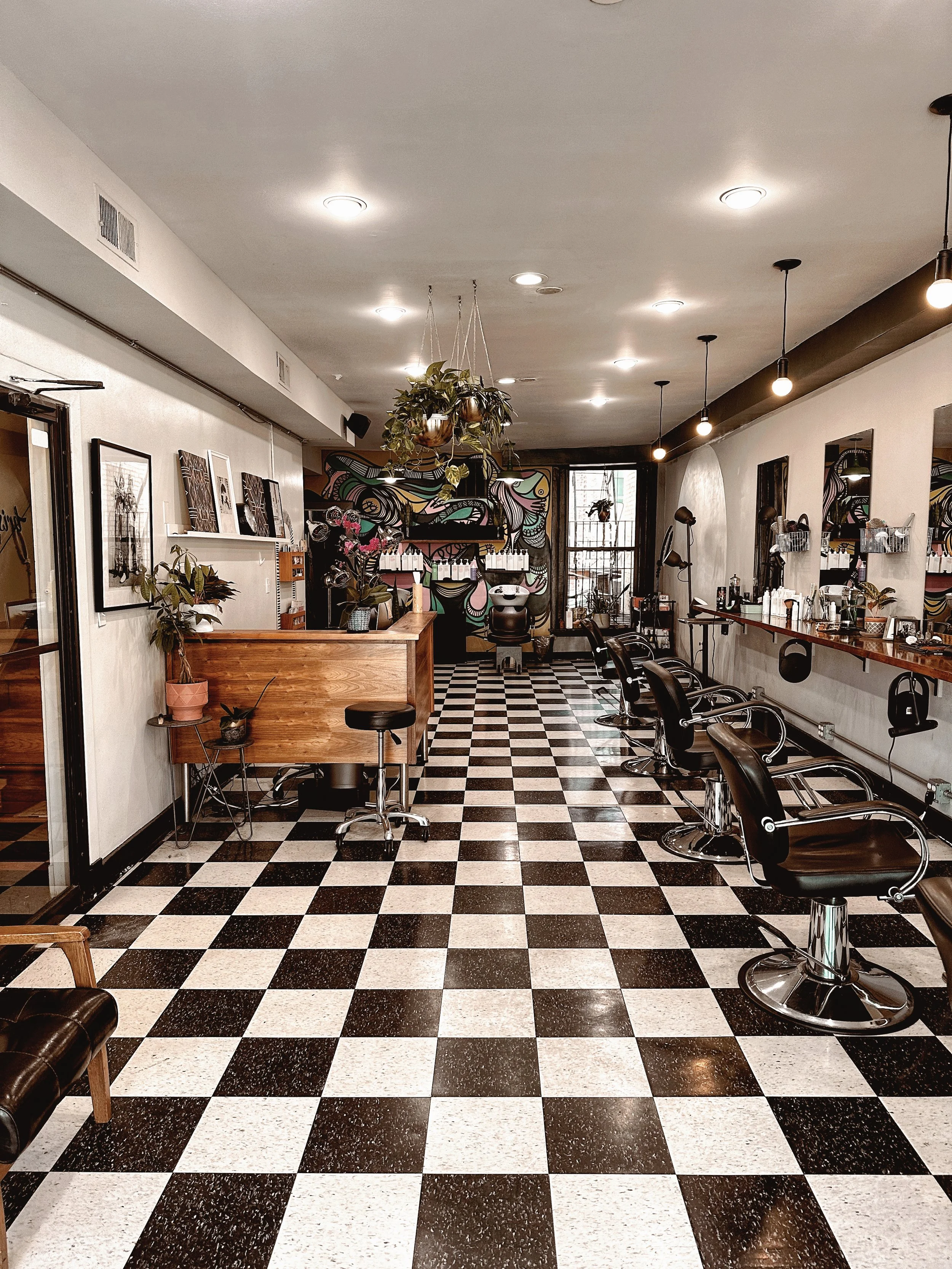 Bristle Hairdressing
