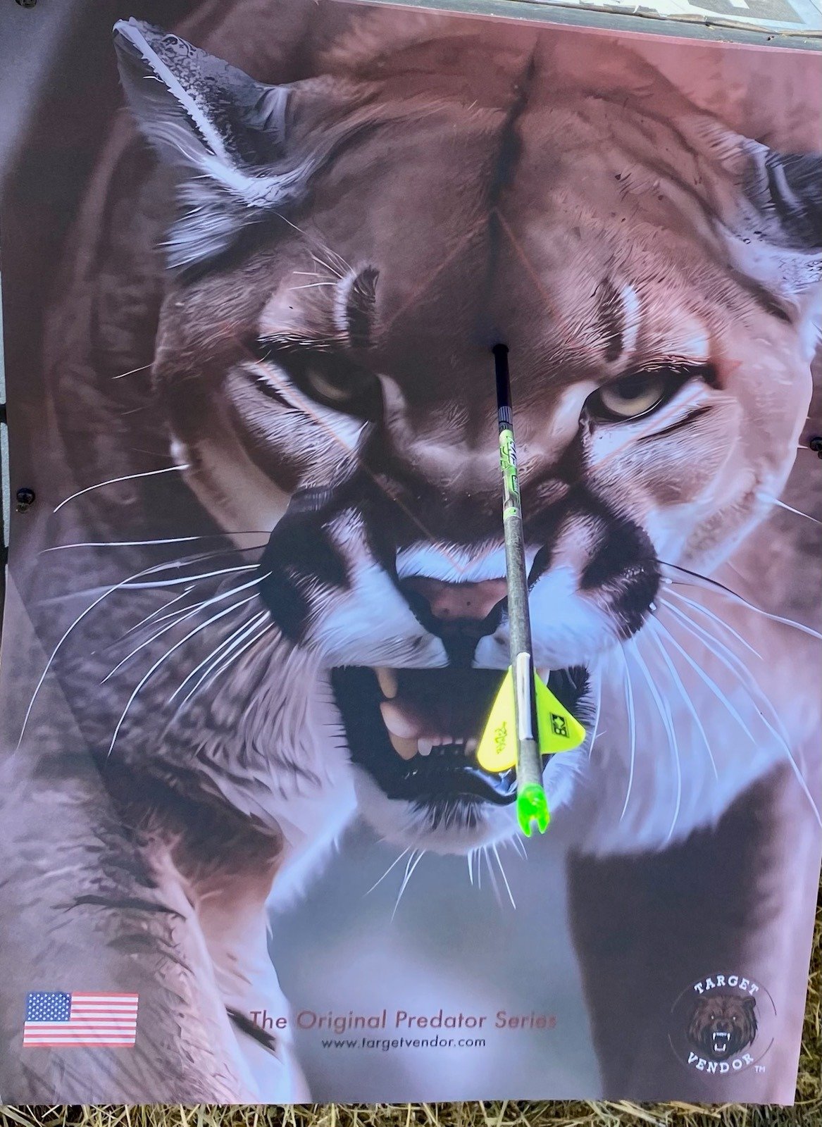 LionBullseye.jpg