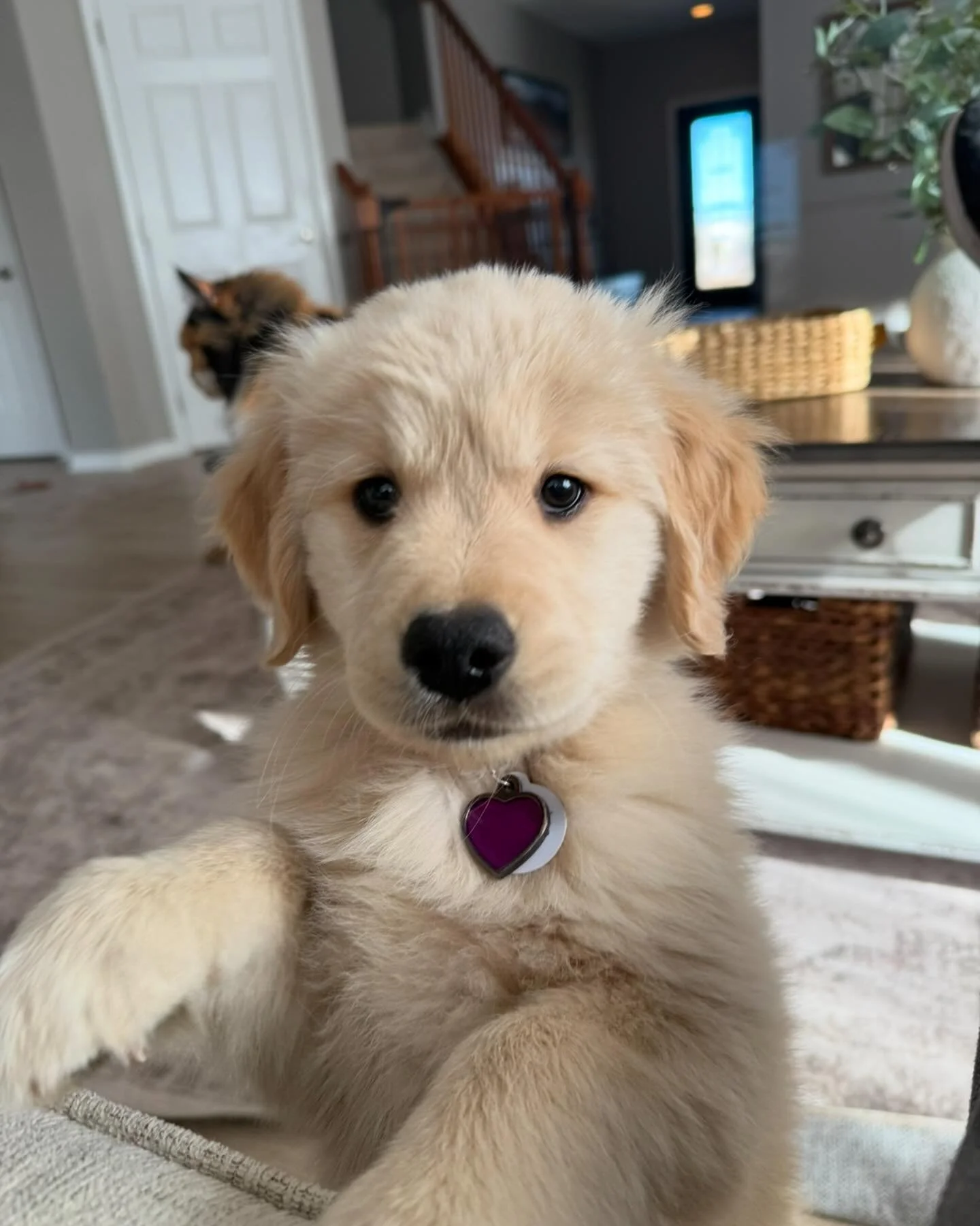 Don&rsquo;t be fooled, she&rsquo;s a criminal! 😈