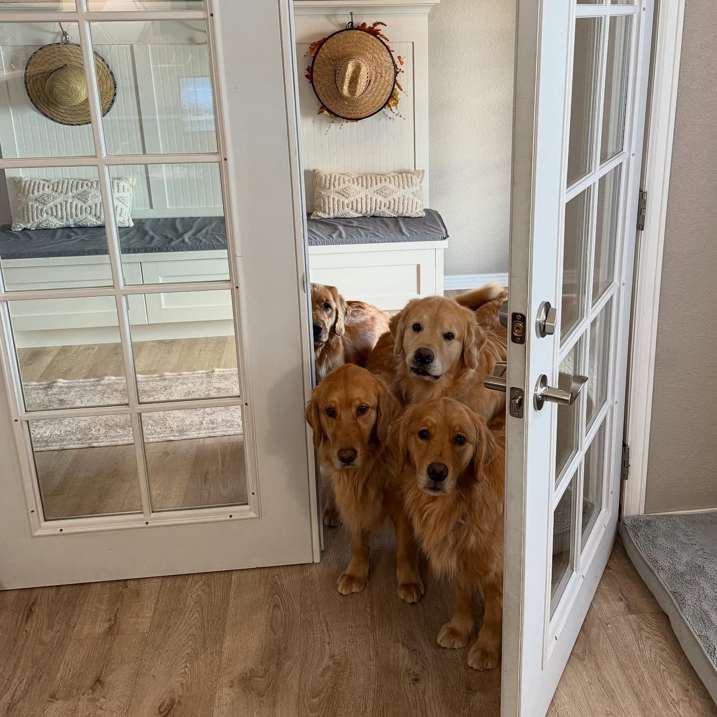 The hall monitors take their job very seriously!