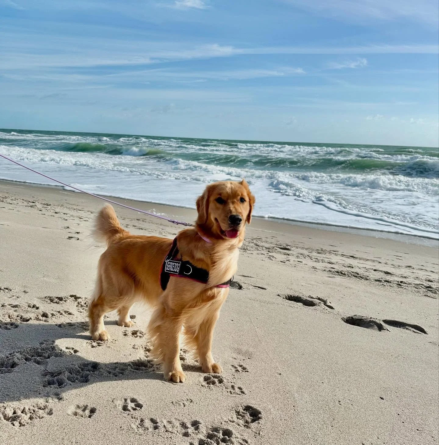 Beach Day #melbournefl