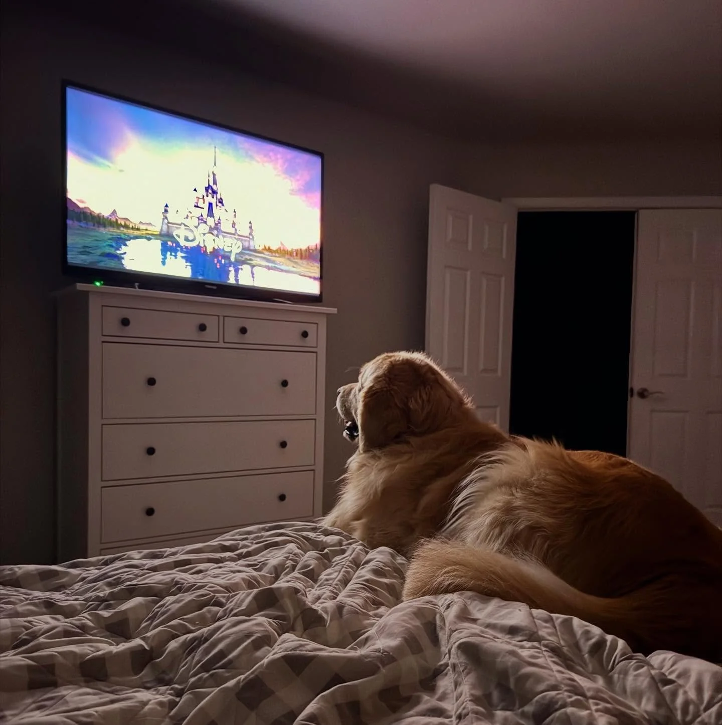 Watching some Lion King #Disney