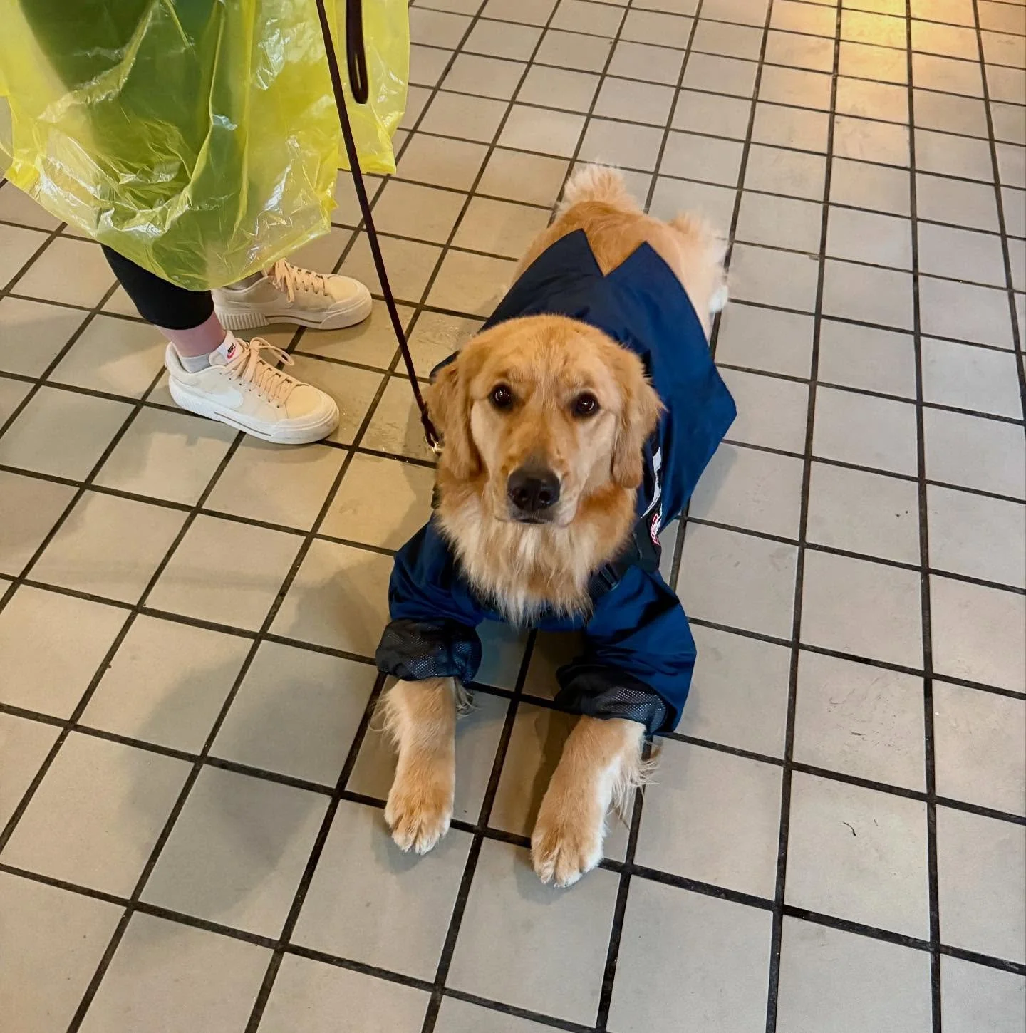 Rainy Day waiting for Uber in Savannah, GA