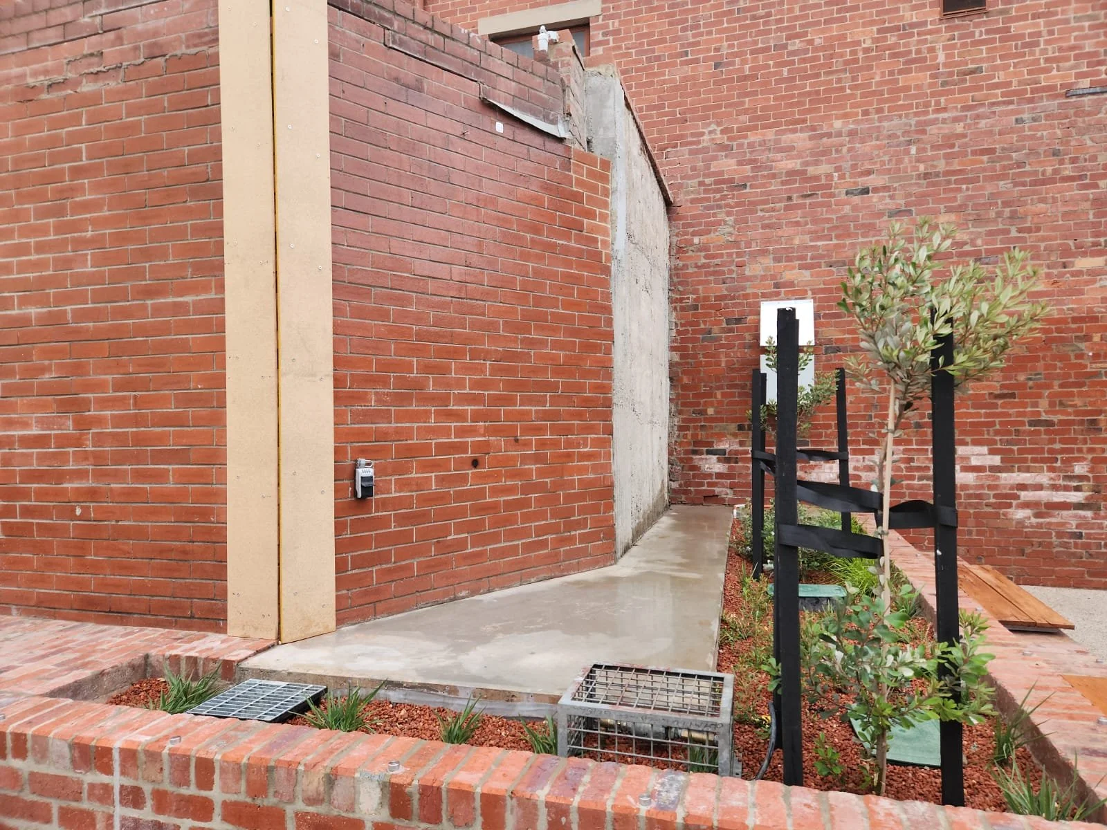 20251223_220922000_iOS 2.jpg