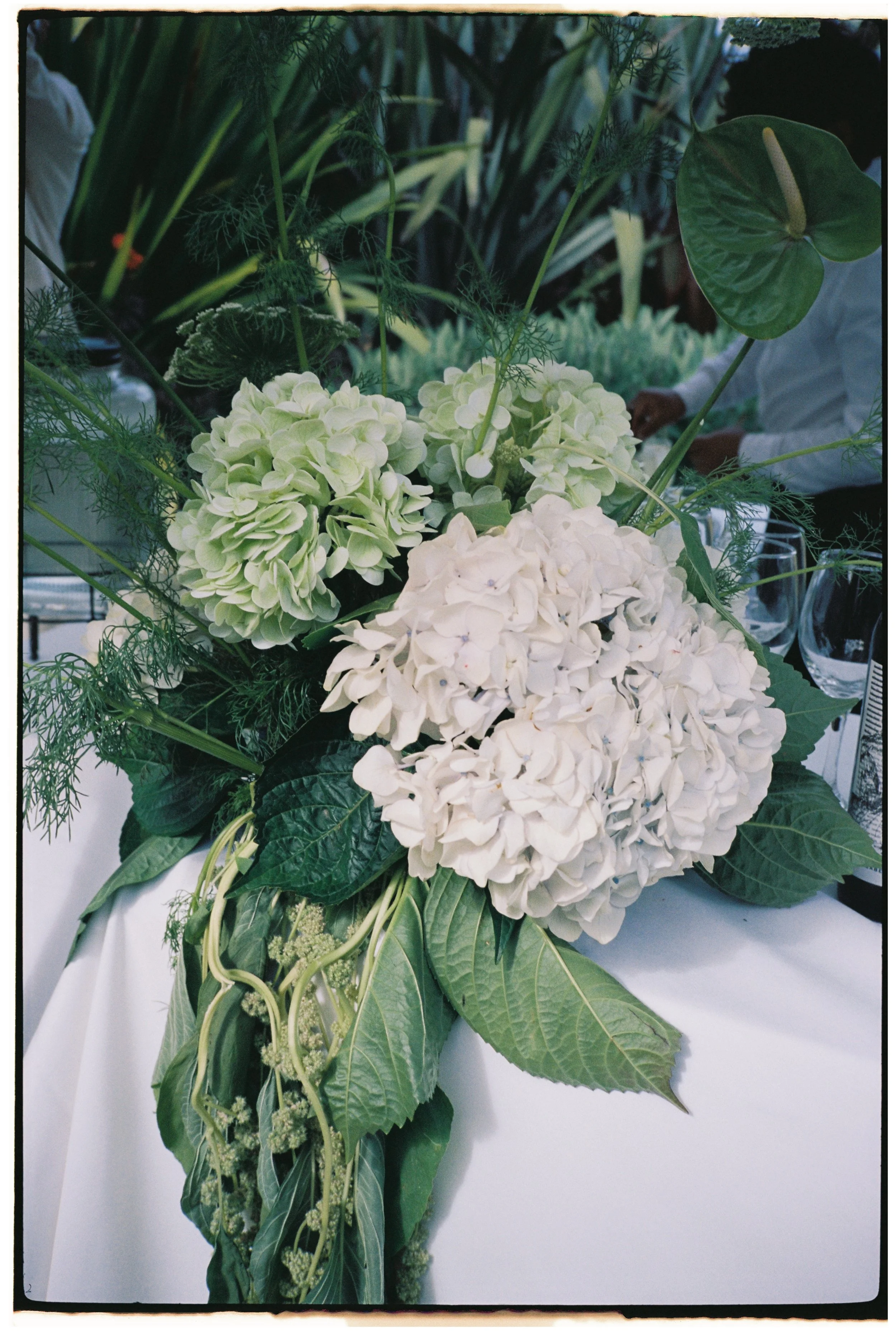 Portra 160 40000039.JPG