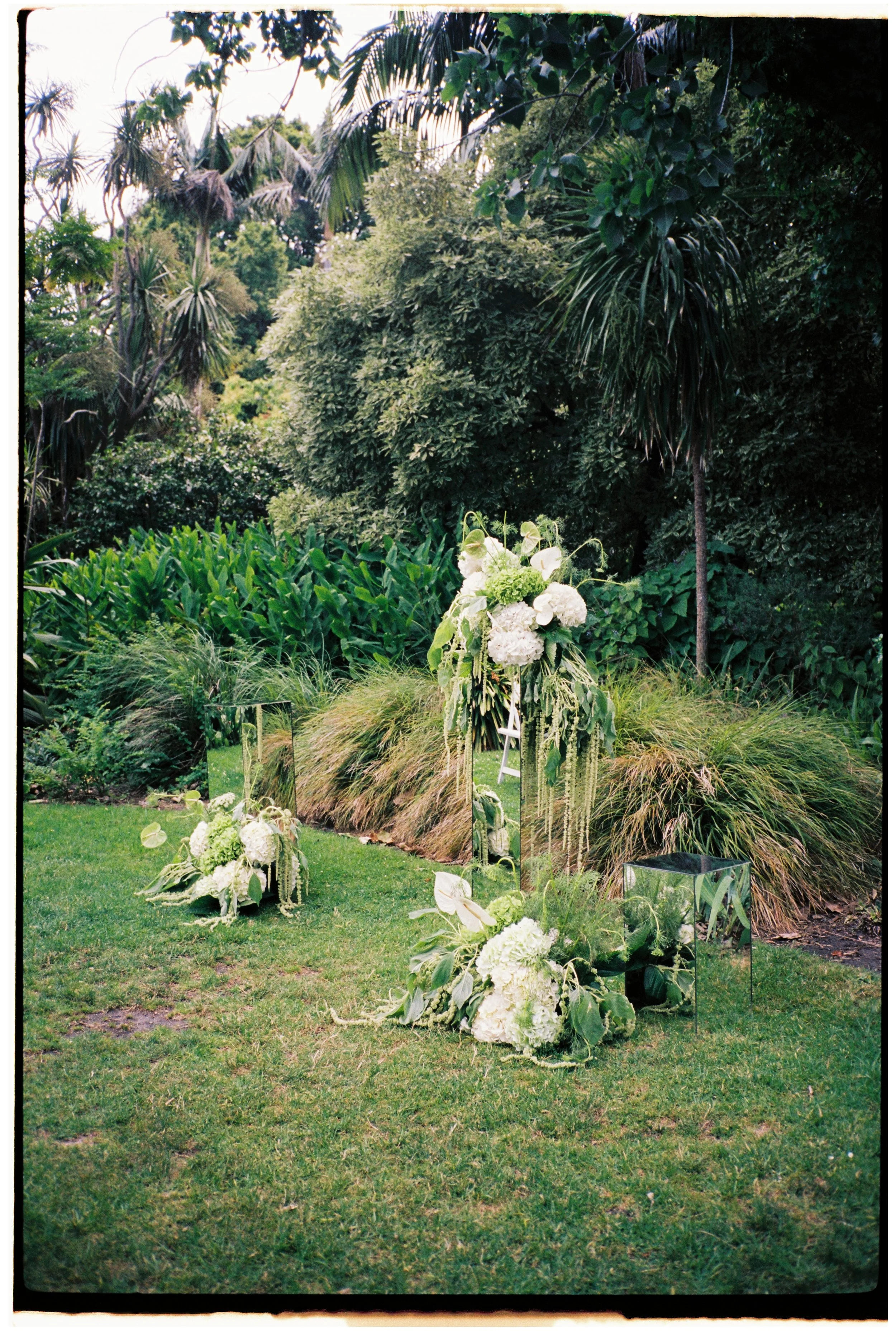 Portra 160 40000069.JPG