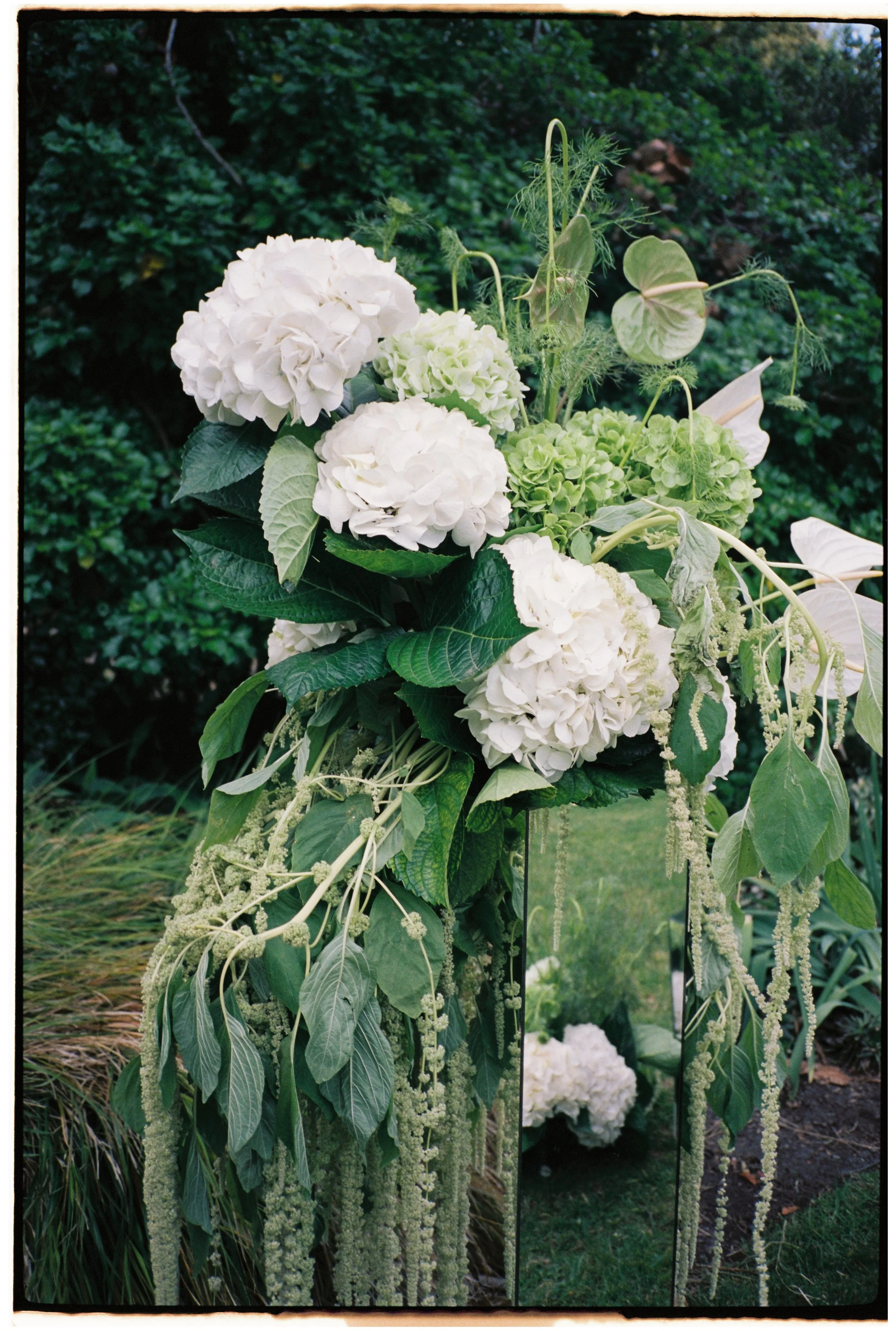 Portra 160 40000067.JPG