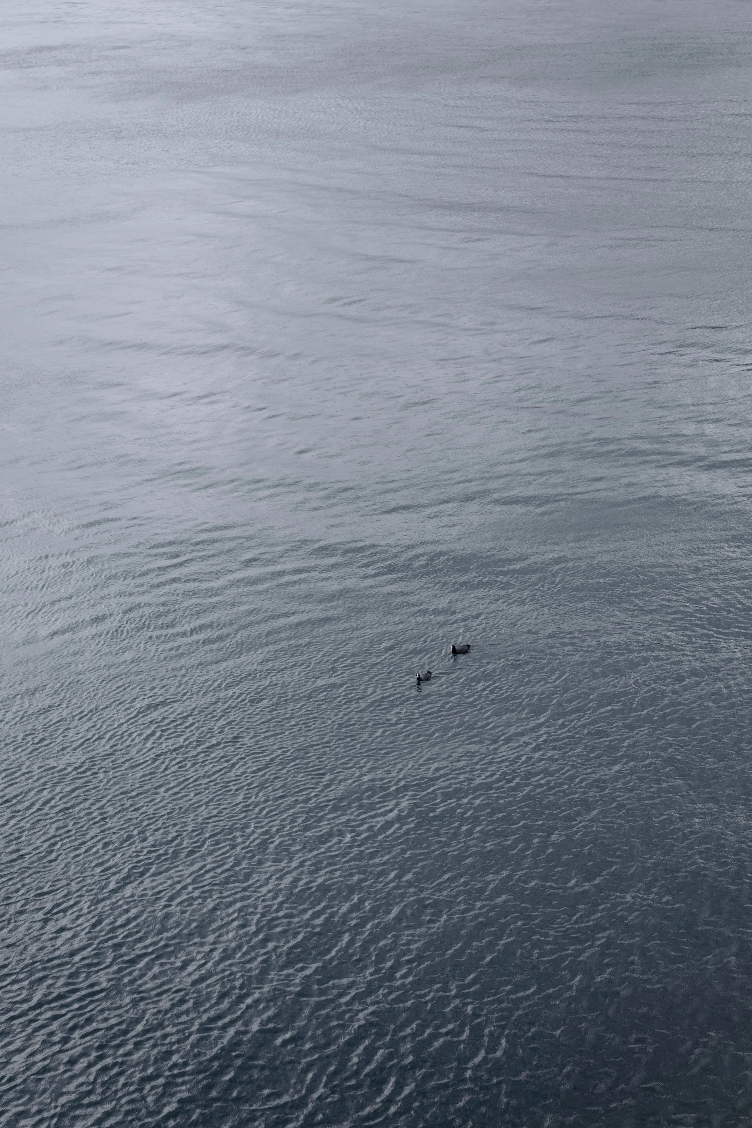 0O0A0293.jpg