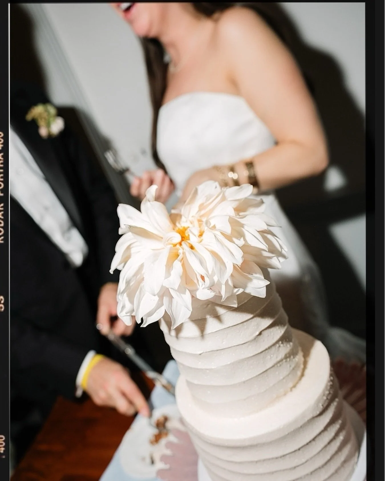 The light catching everything just right.