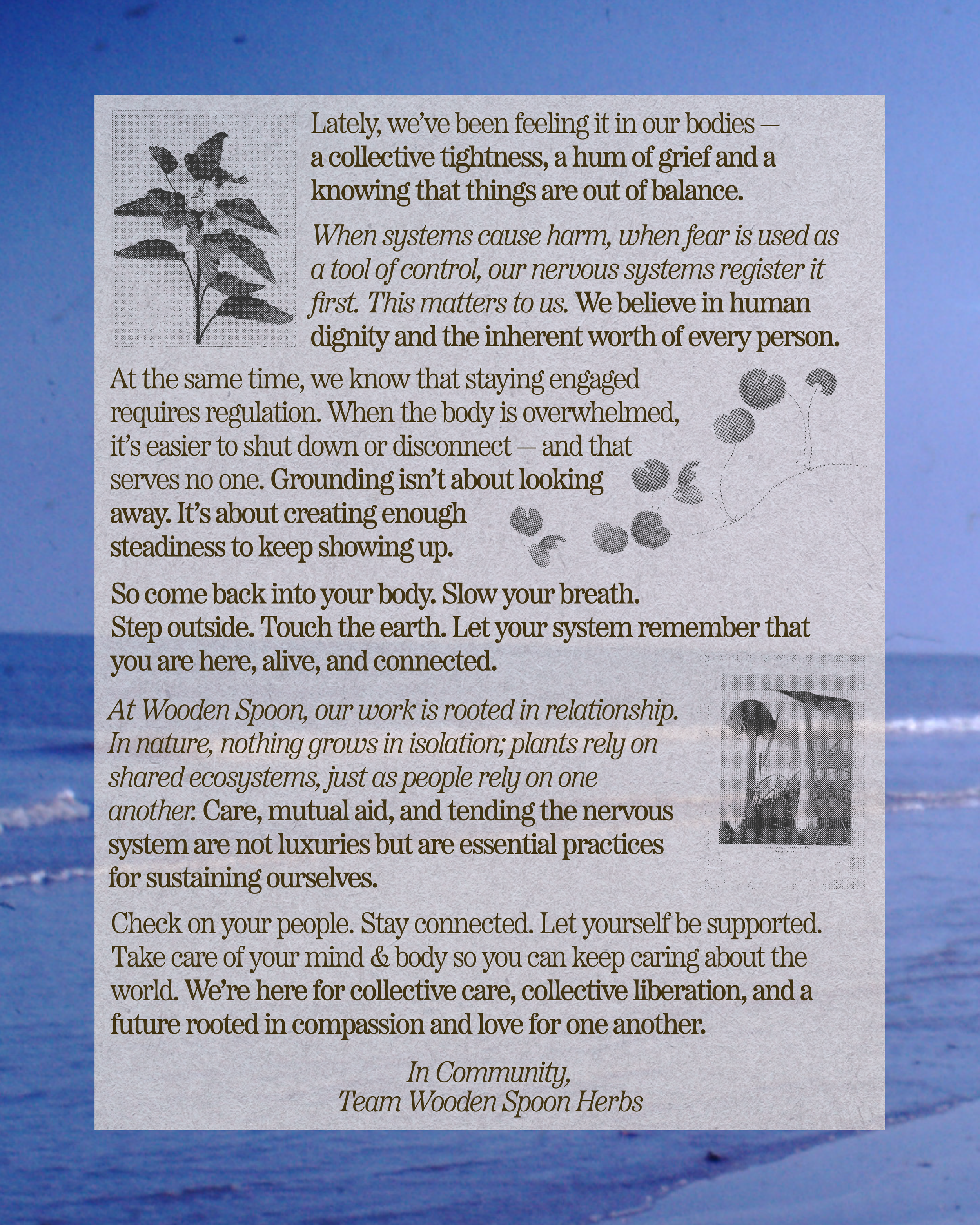 WSH January Grief 02.png