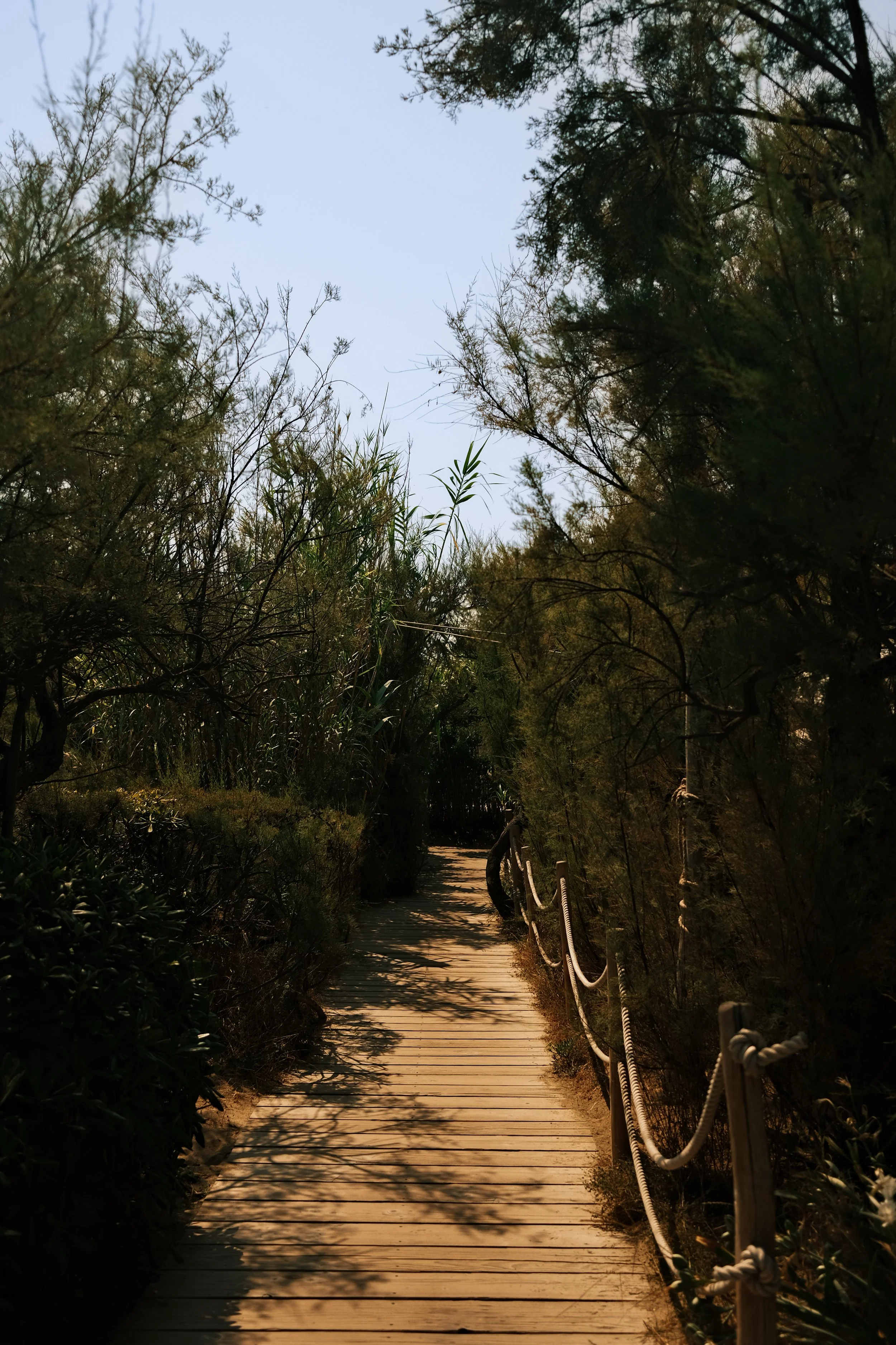 walkway.jpg