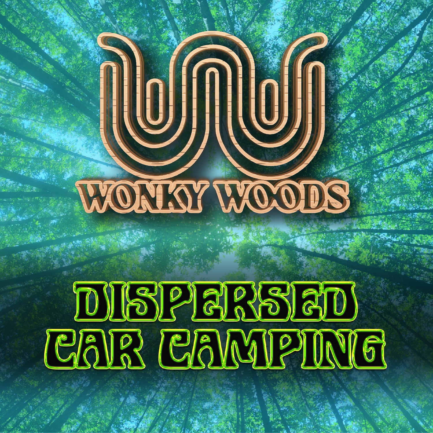 Dispersed Car Camping Pass (Add-On)