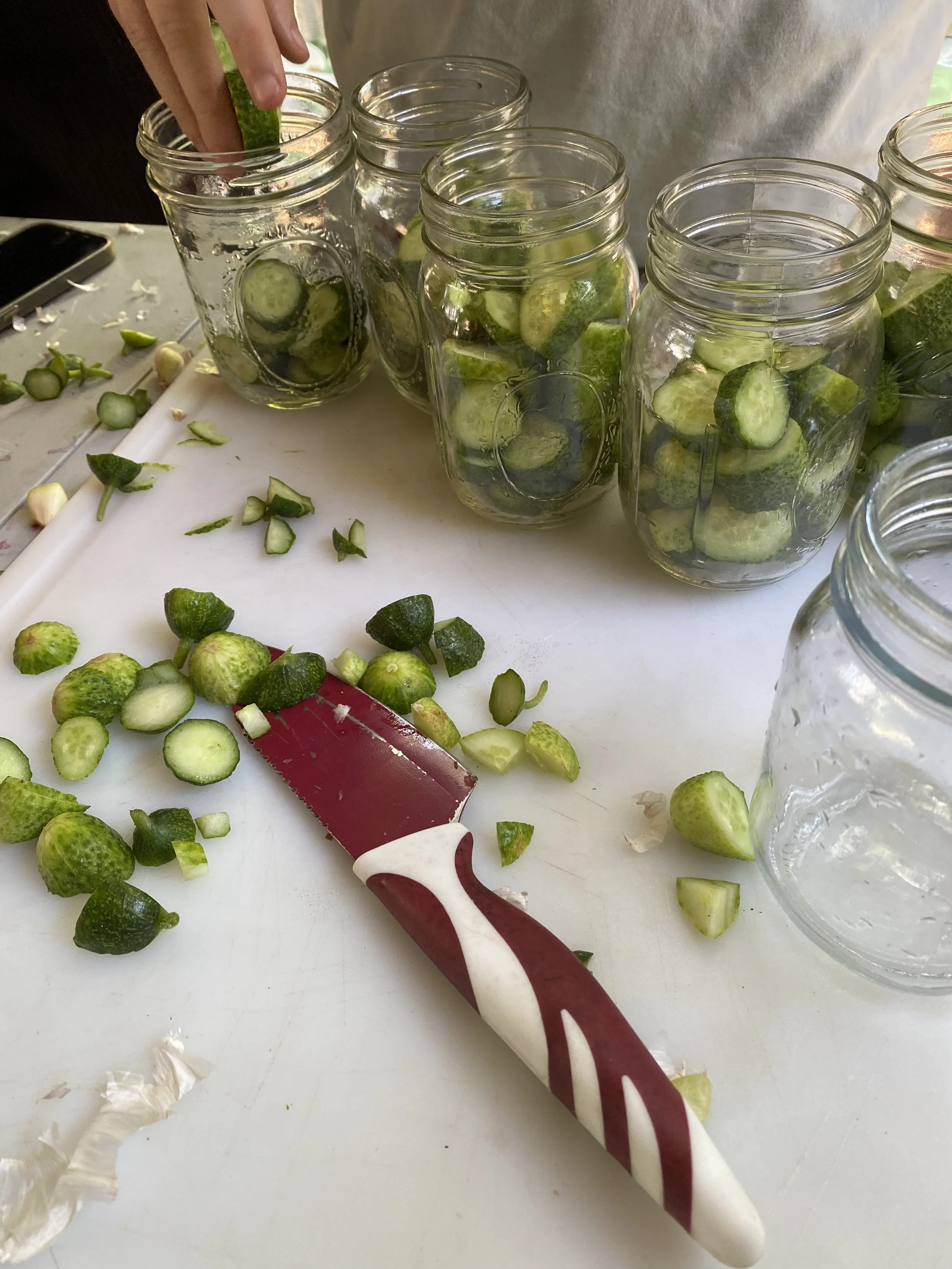 Pickles & Jam - August 8, 2026