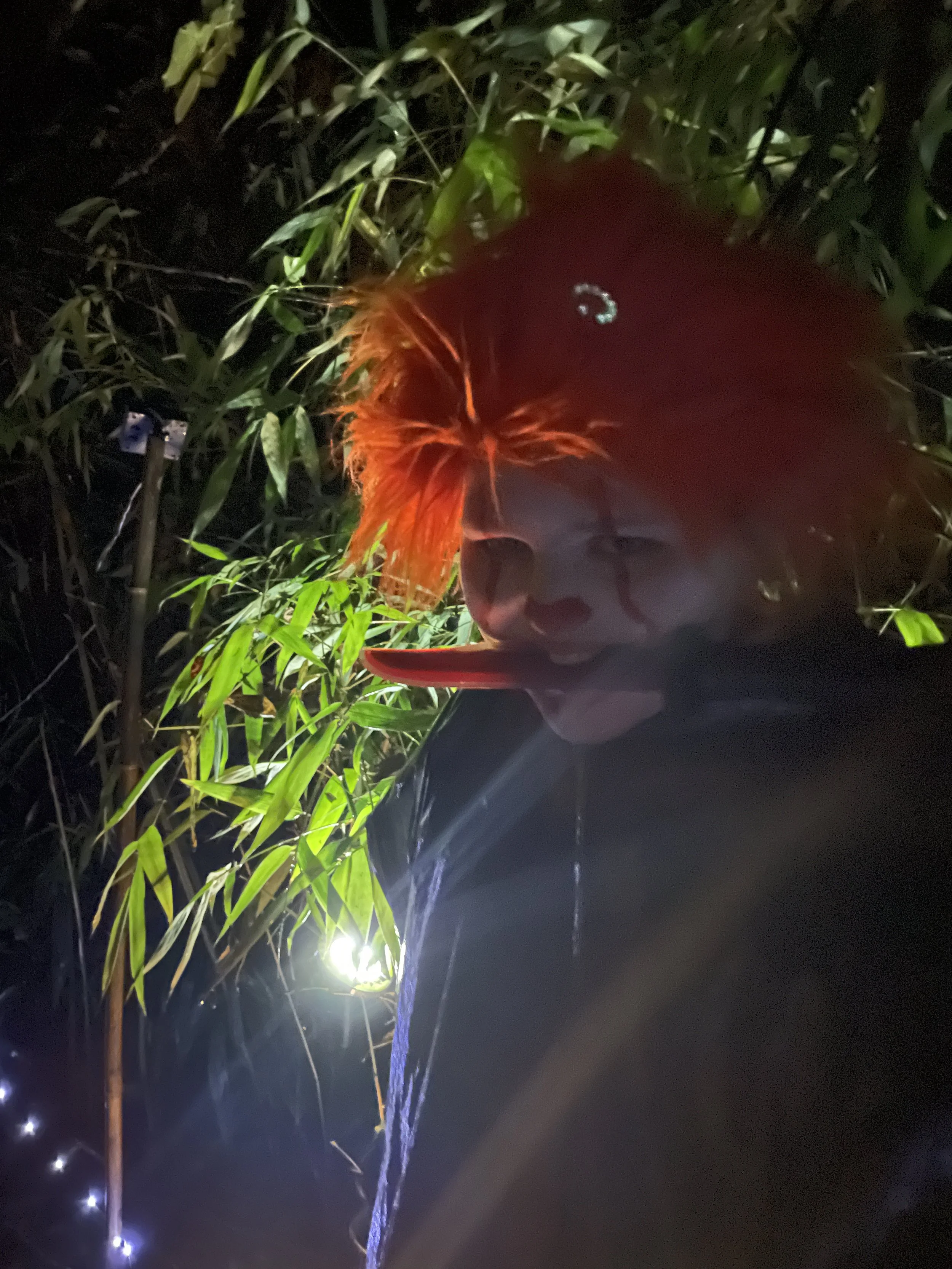 Haunted Bamboo Forest - 10/25 Tickets