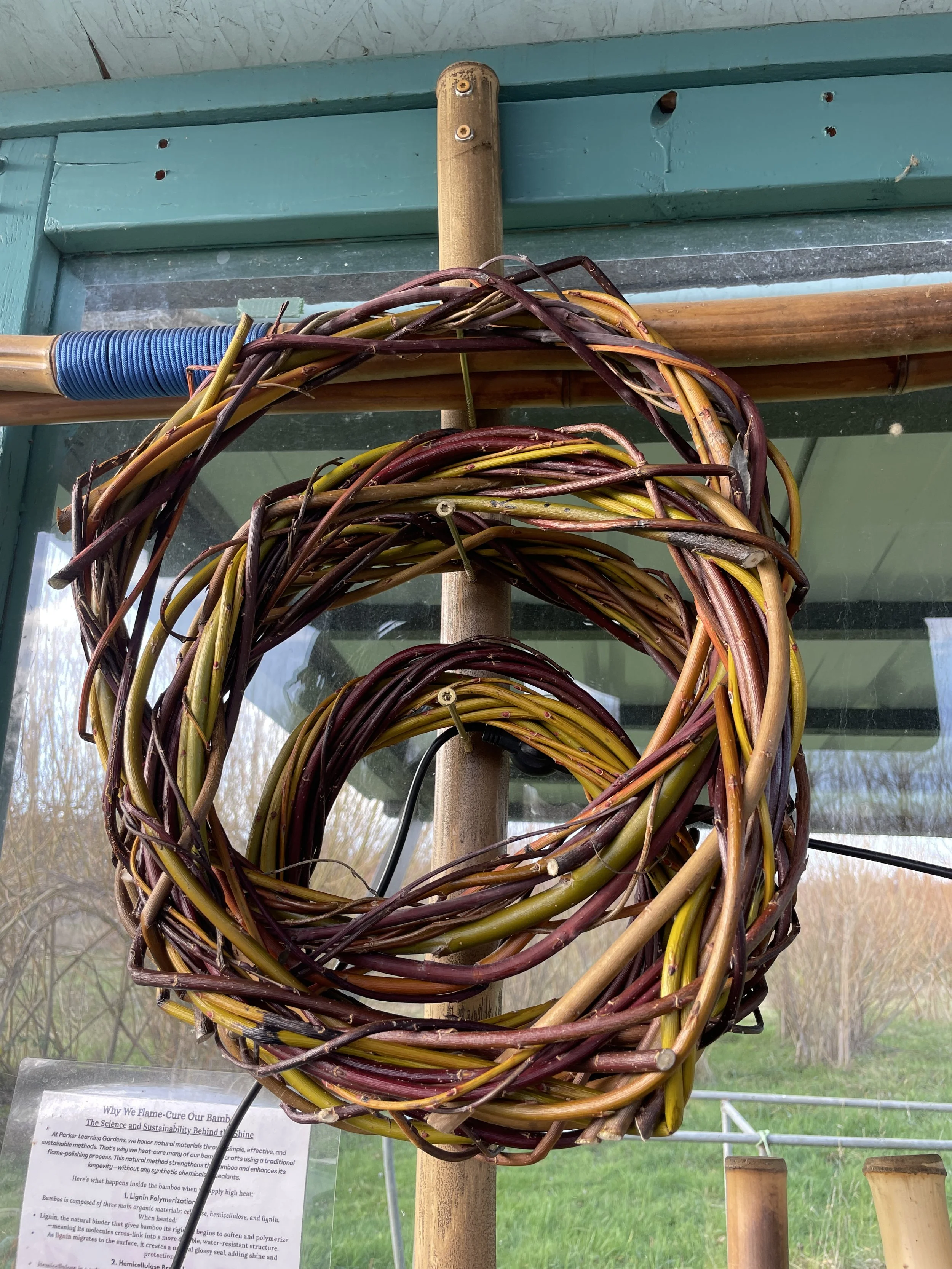 Willow Wreaths & Herbal Salves - November 14, 2026