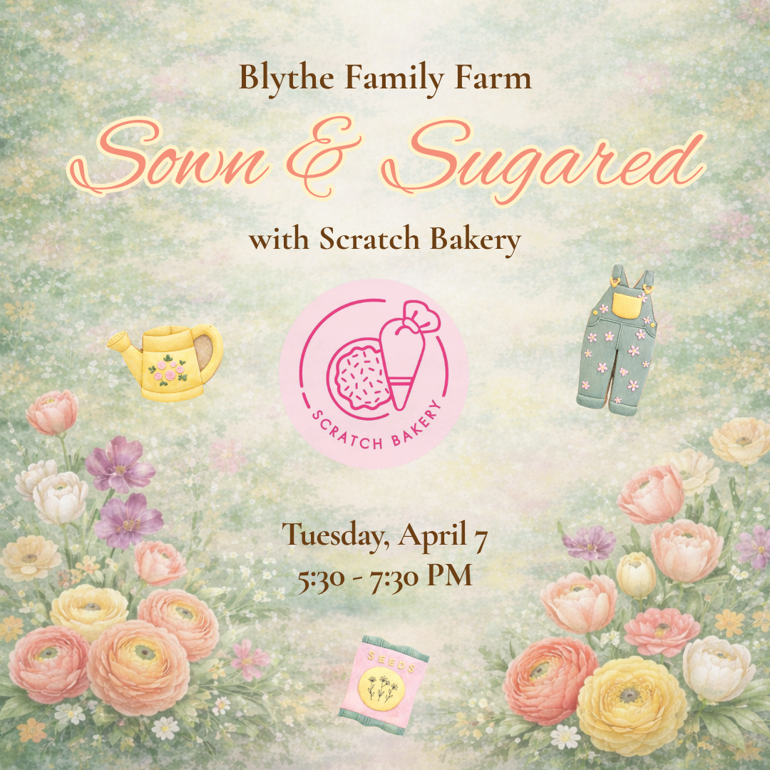 Square Space Image.png