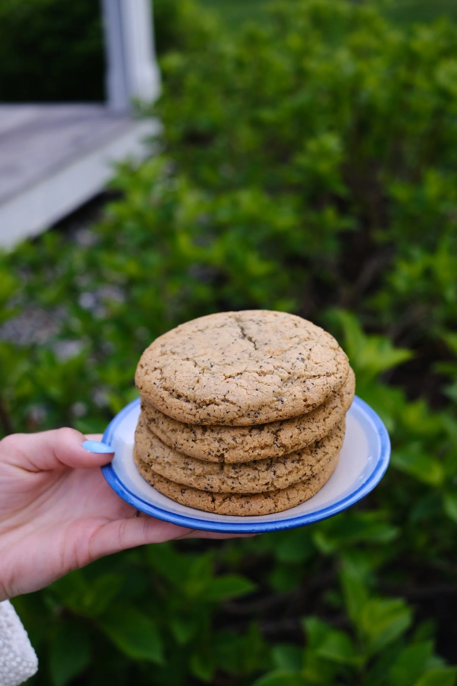 Lemon Poppyseed