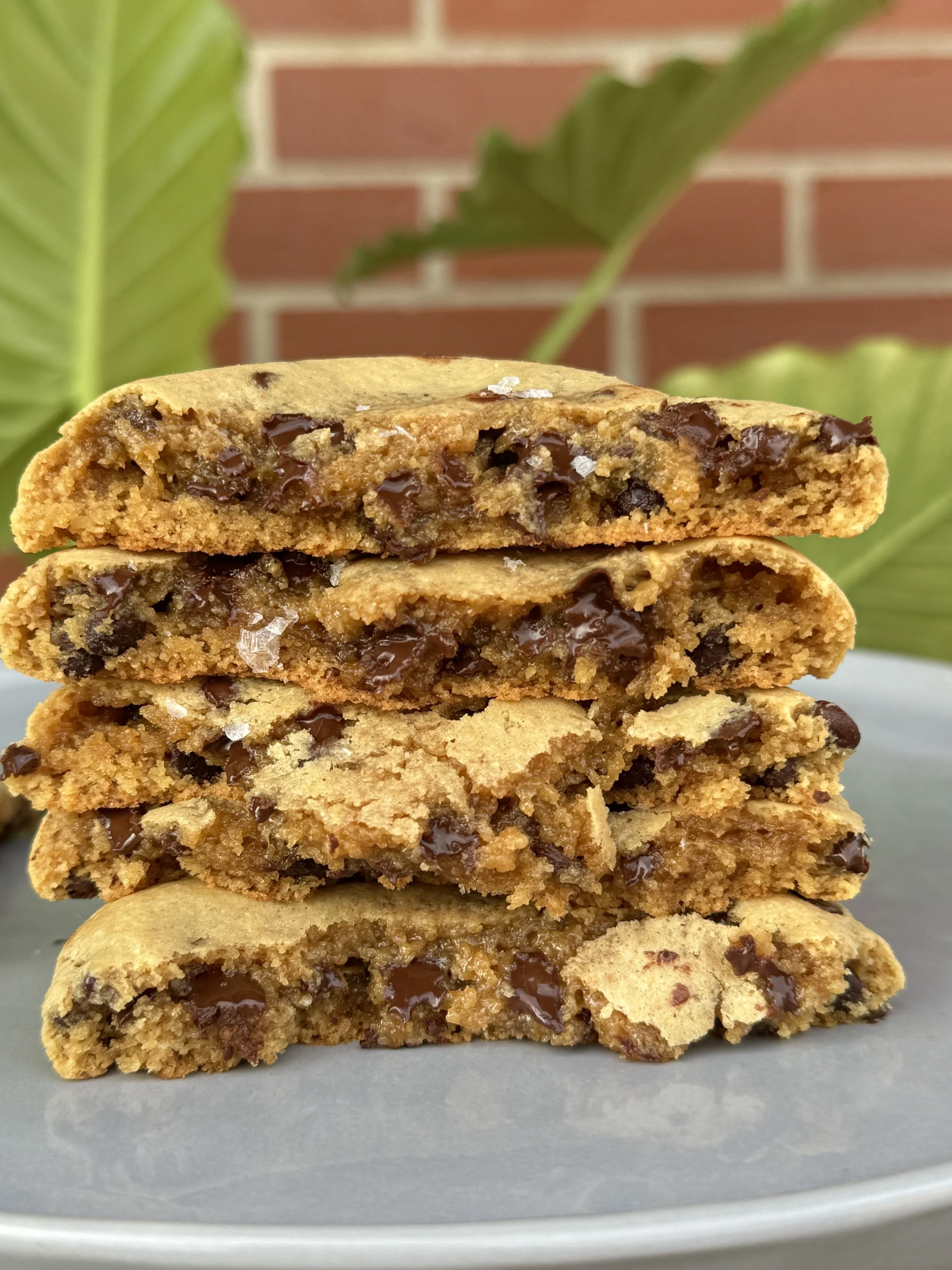 PEANUT BUTTER CHOCOLATE CHIP