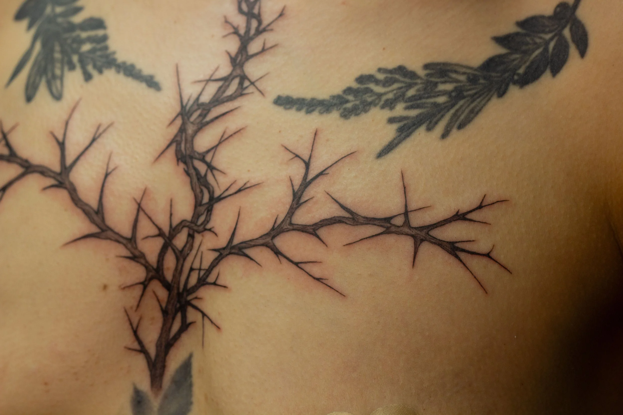 December 2025 · Freehand thorny adornment