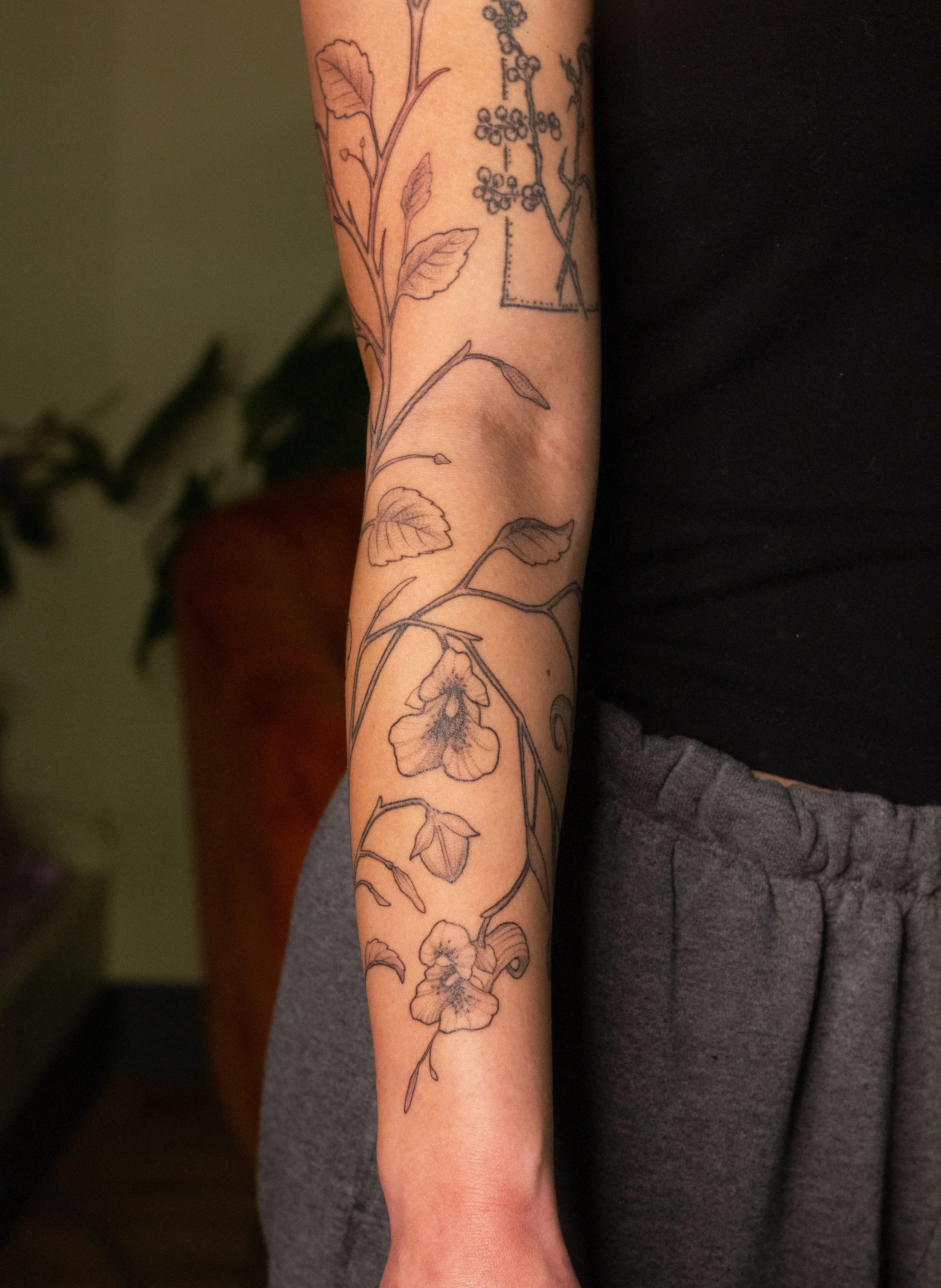 December 2025 · Freehand wrapping Jewelweed, top half of arm is freshly tattooed and bottom half of arm is six days into healing