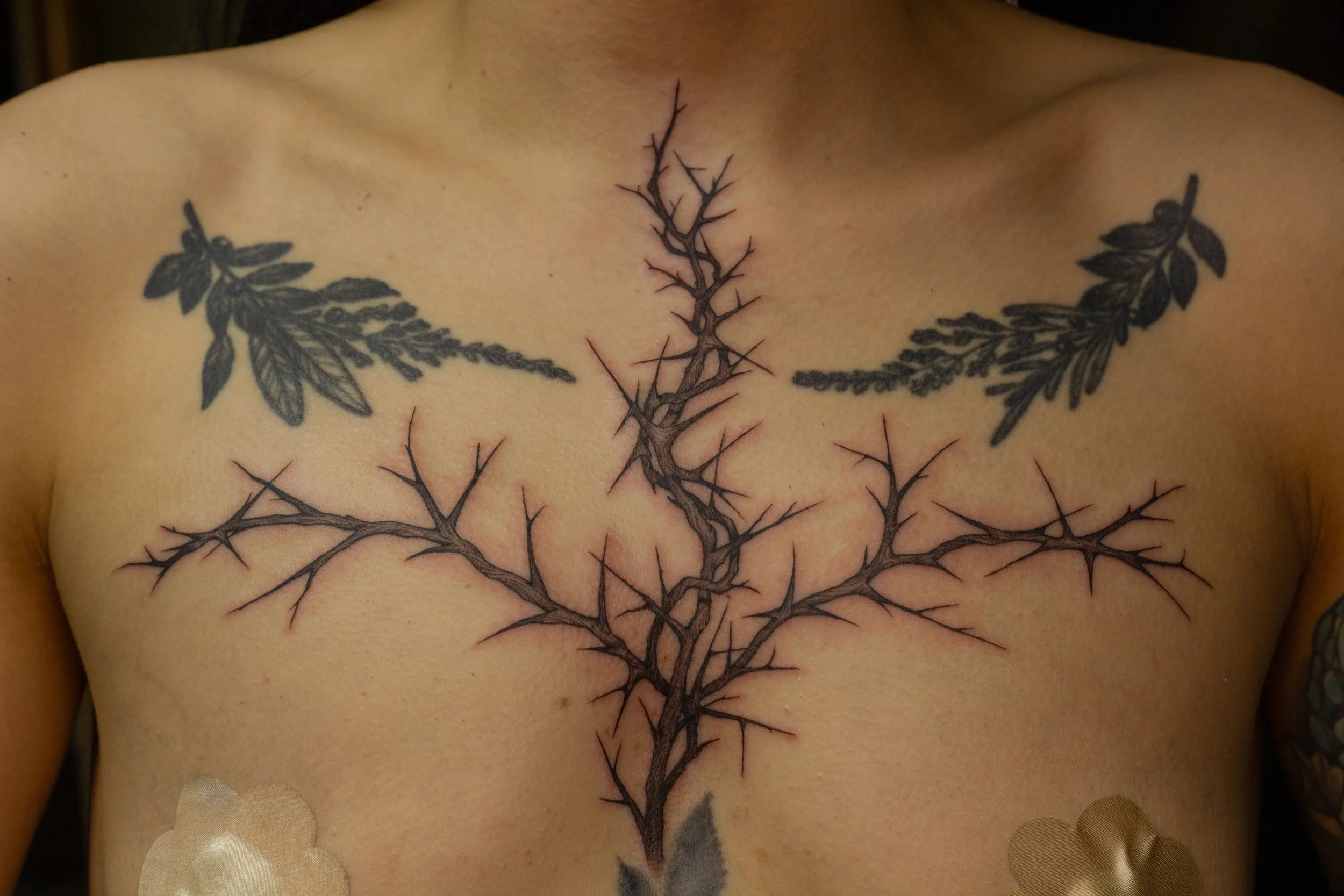 December 2025 · Freehand thorny adornment