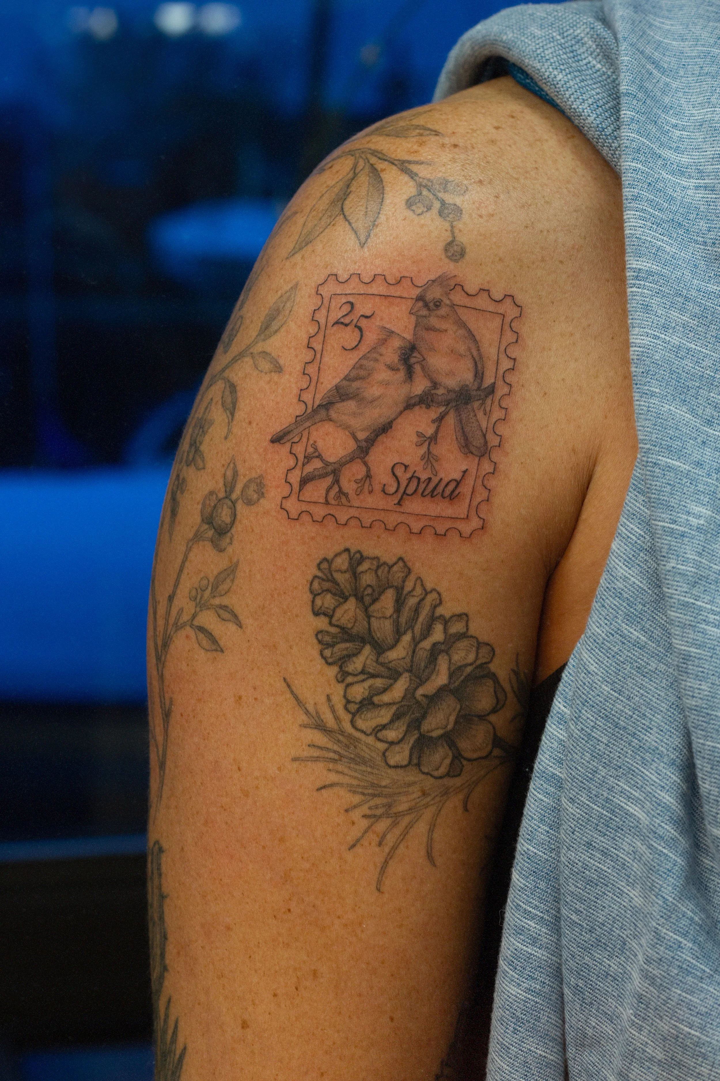 November 2025 · Fresh stamp and healed pinecone