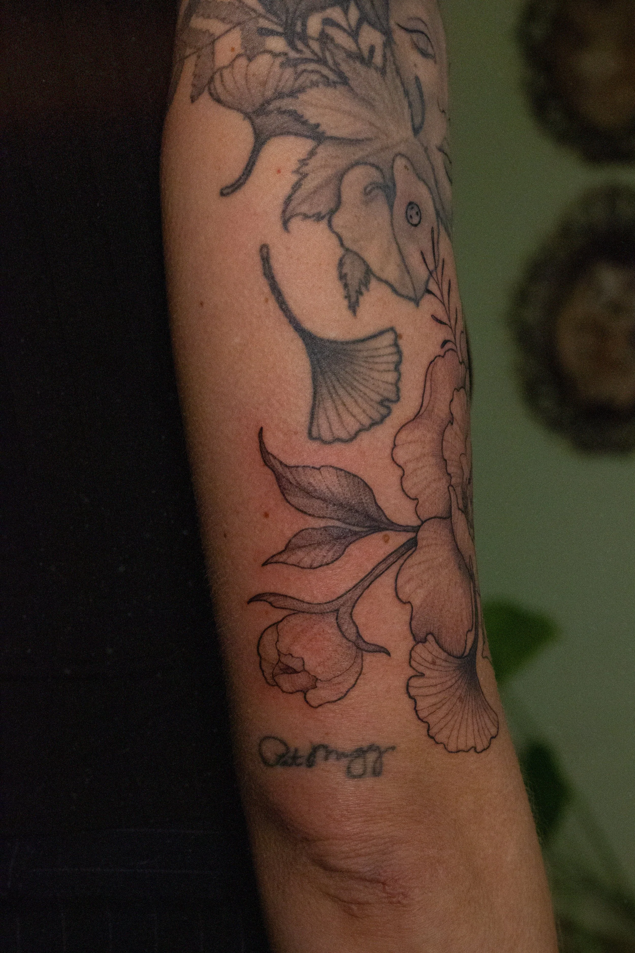 November 2025 · Freehand peony with sleeping fae underneath healed tattoo from 2021