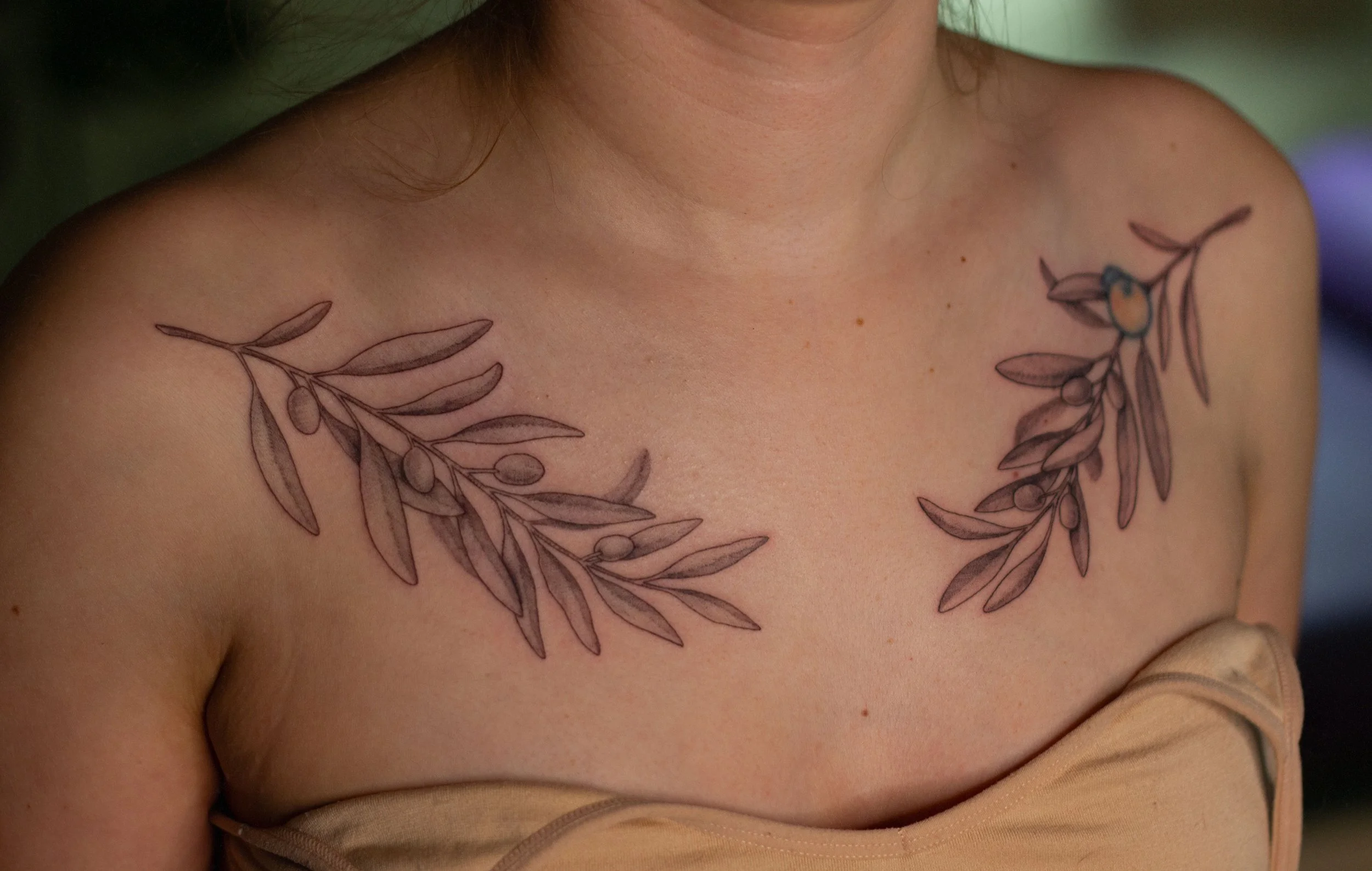 December 2025 · Olive branches