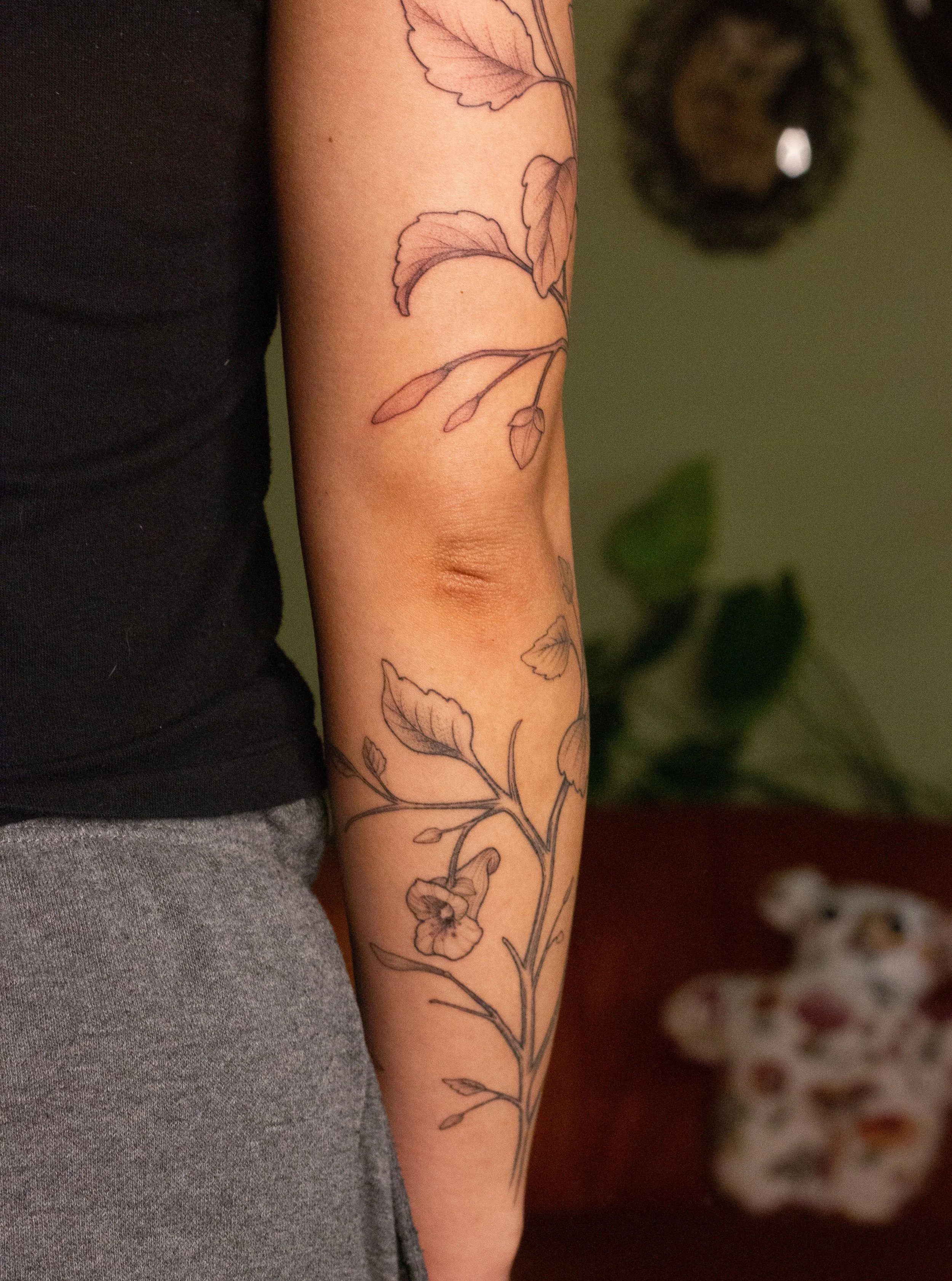December 2025 · Freehand wrapping Jewelweed, top half of arm is freshly tattooed and bottom half of arm is six days into healing