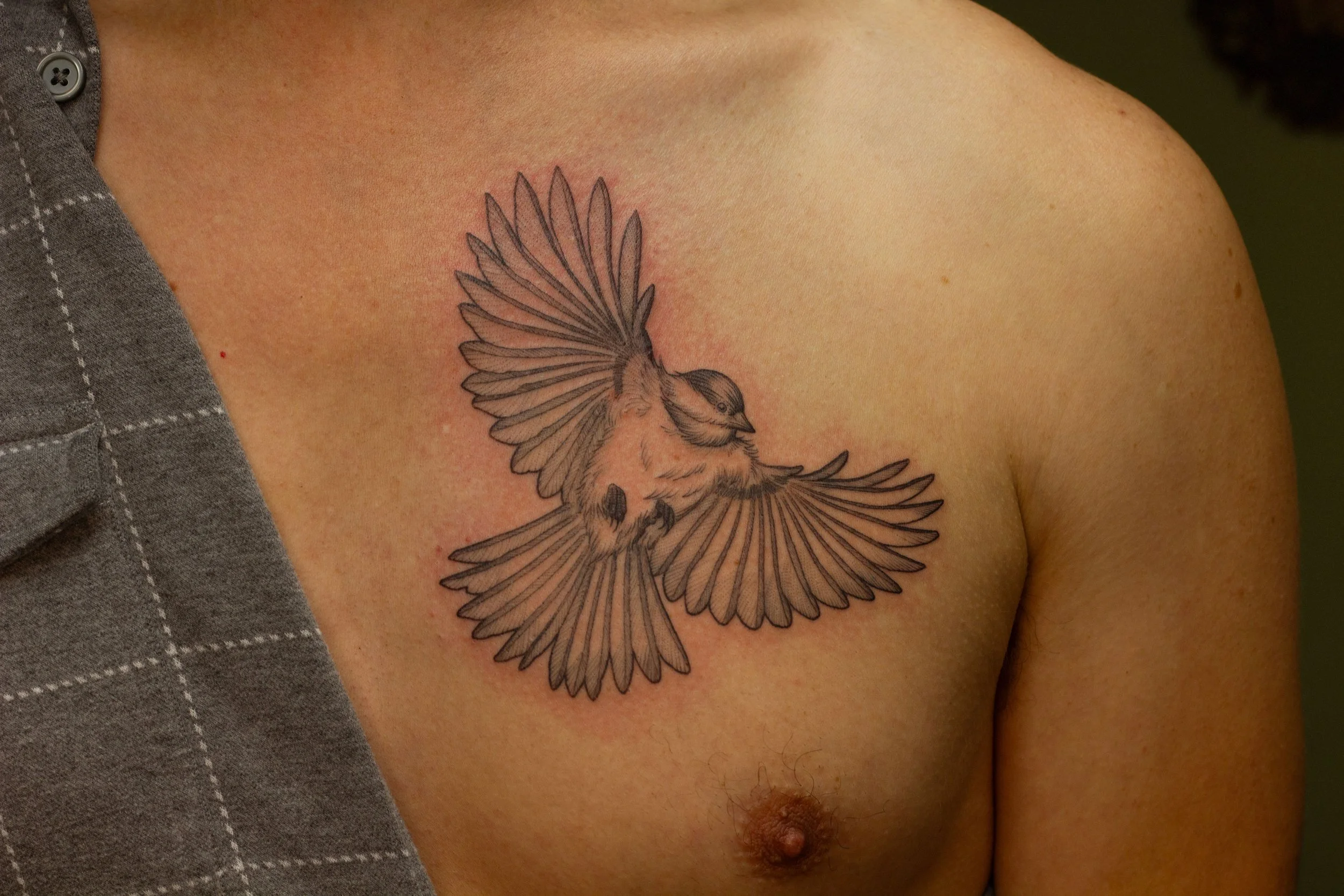 December 2025 · Chickadee-dee-dee