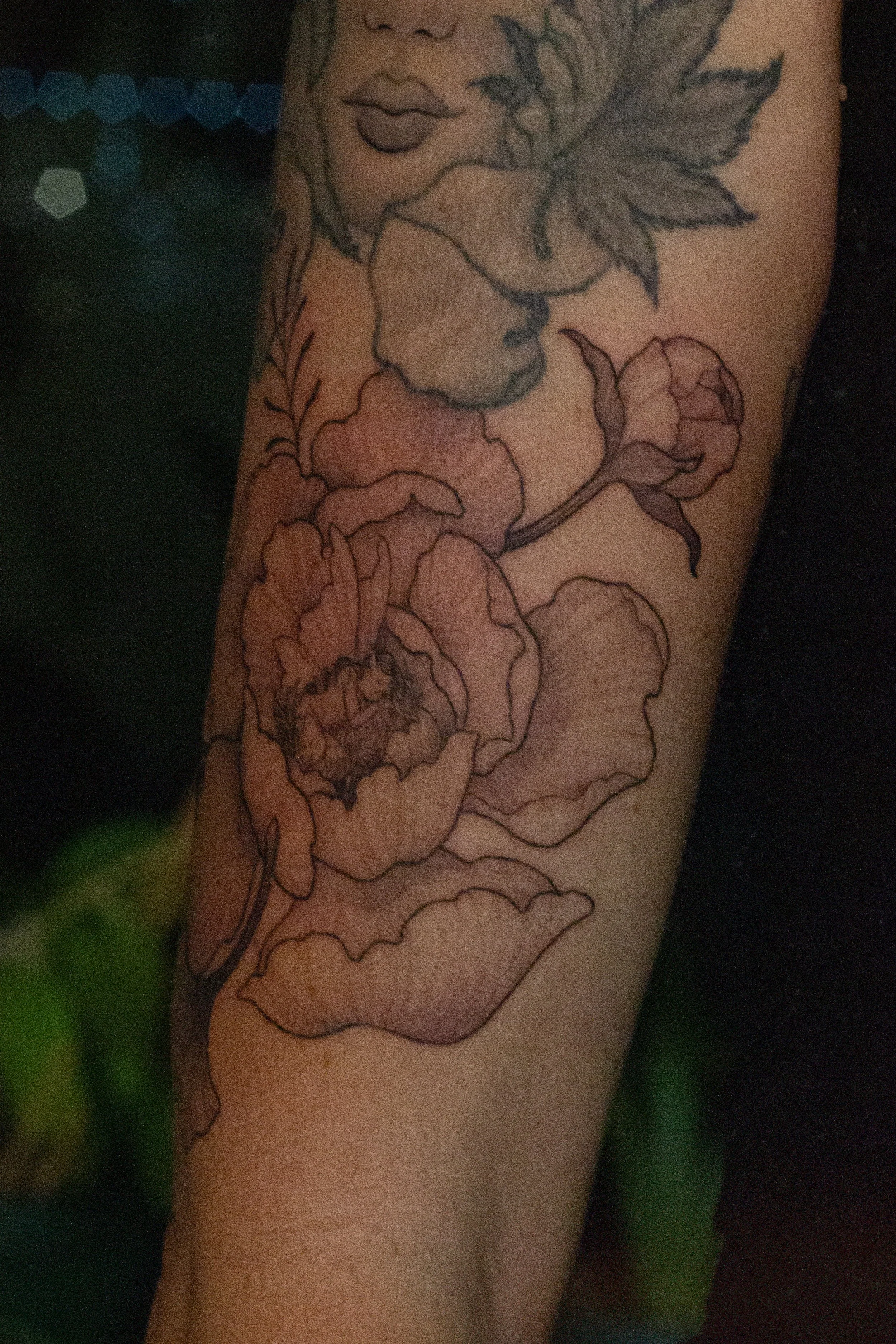 November 2025 · Freehand peony with sleeping fae underneath healed tattoo from 2021