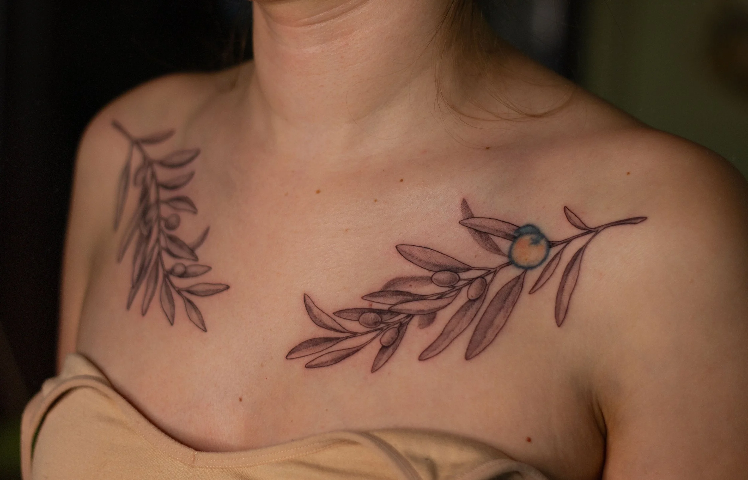 December 2025 · Olive branches