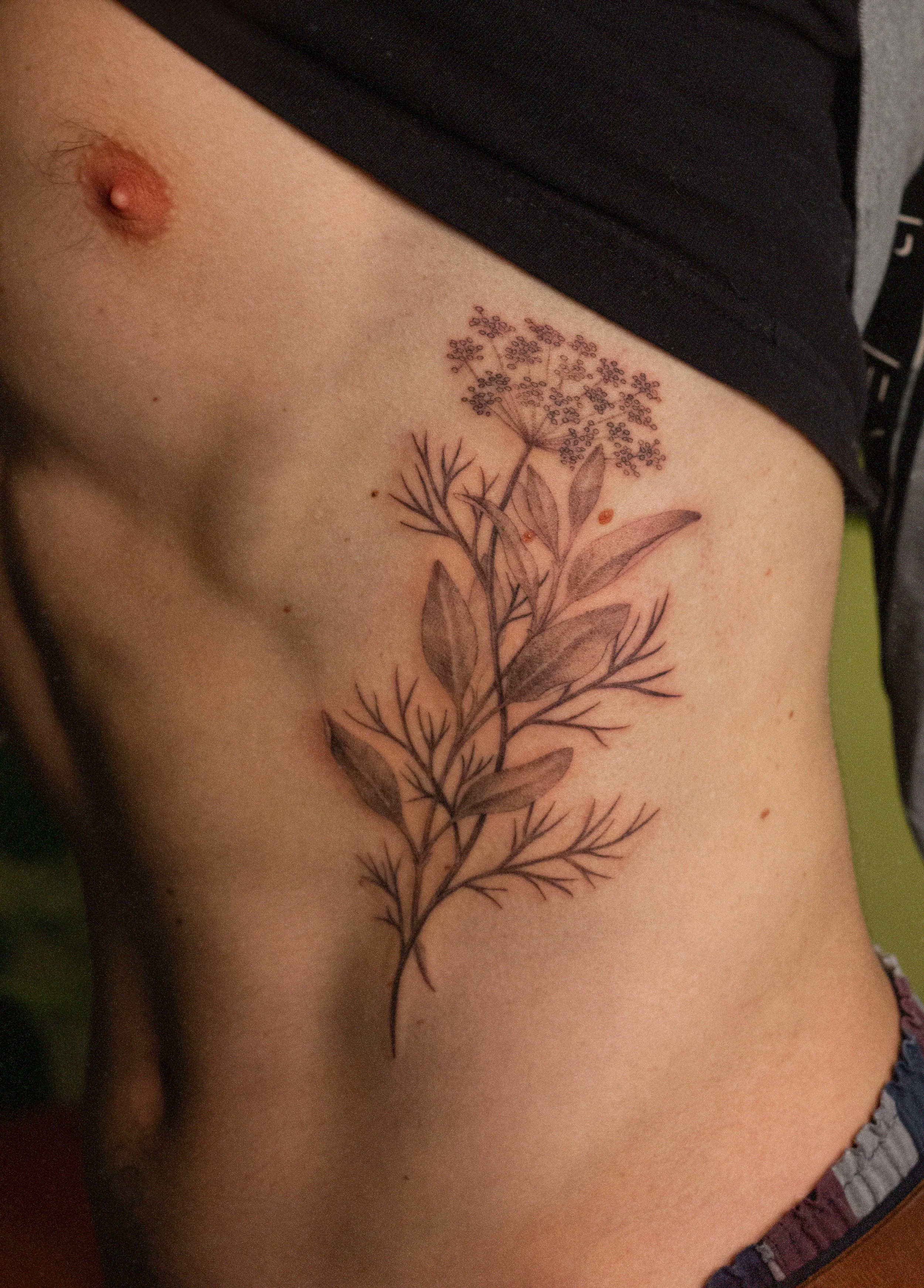 December 2025 · Dill and Sage